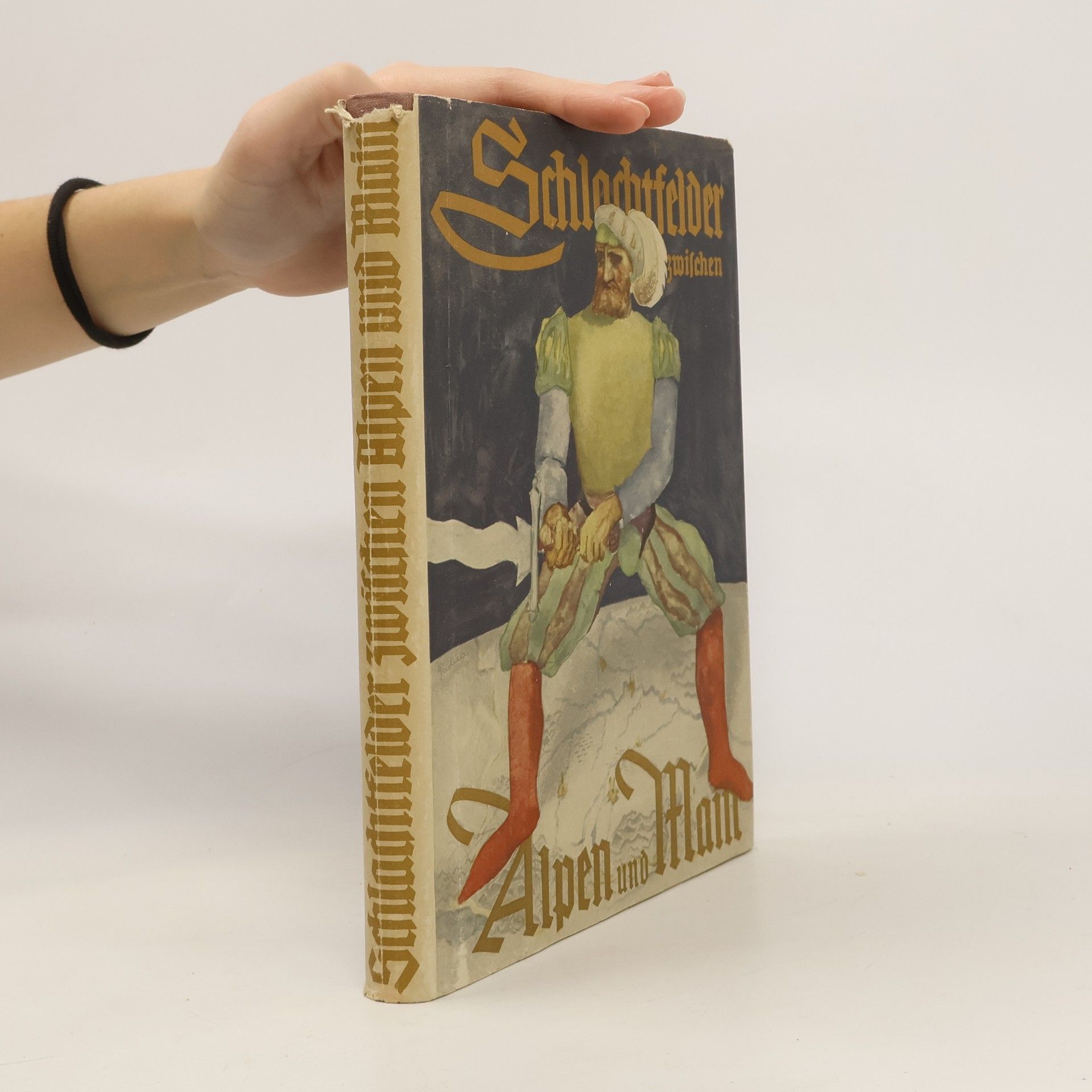 Walter von Reichenau Schlachtfelder zwischen Alpen und Main