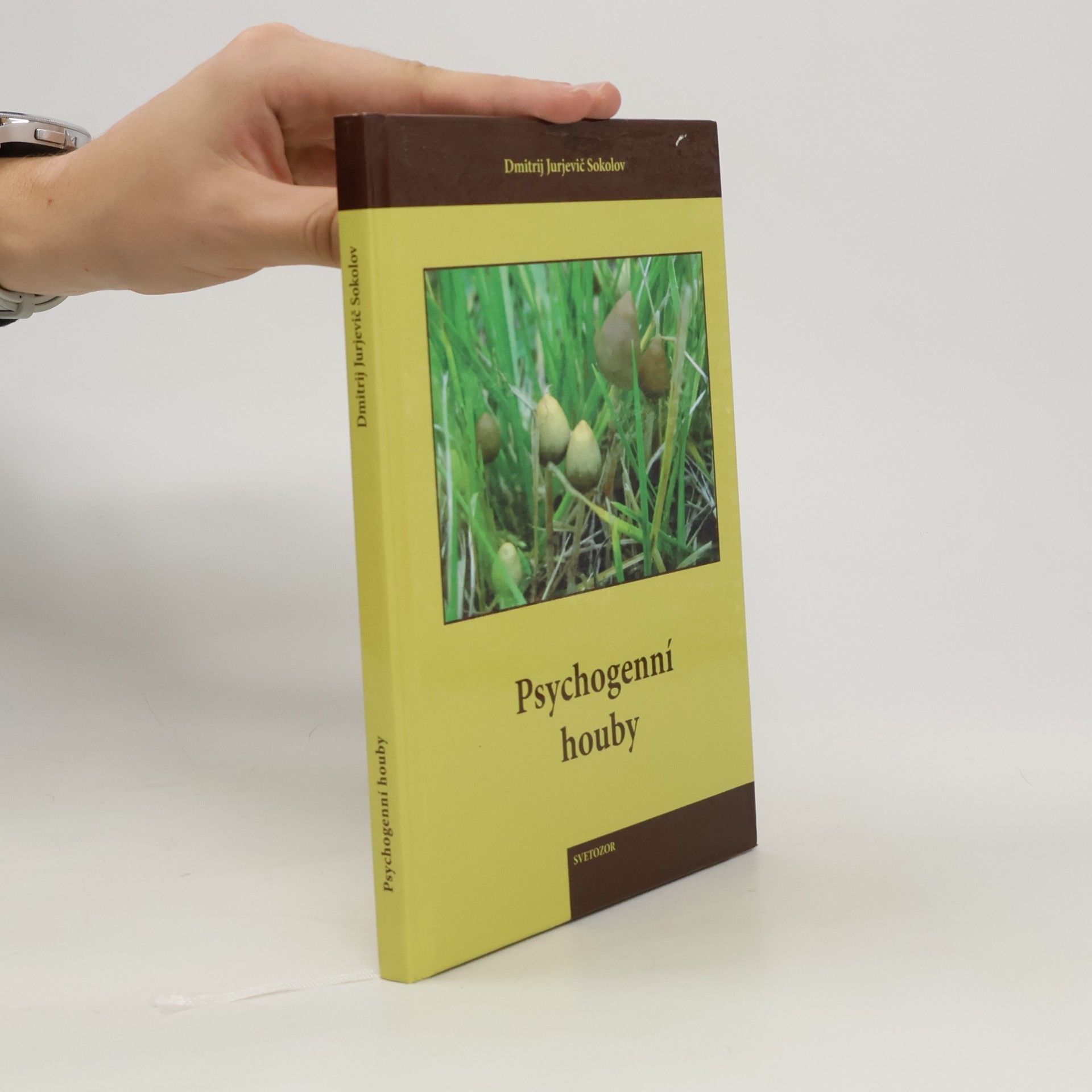Dmitrij Jurjevič Sokolov Psychogenní houby