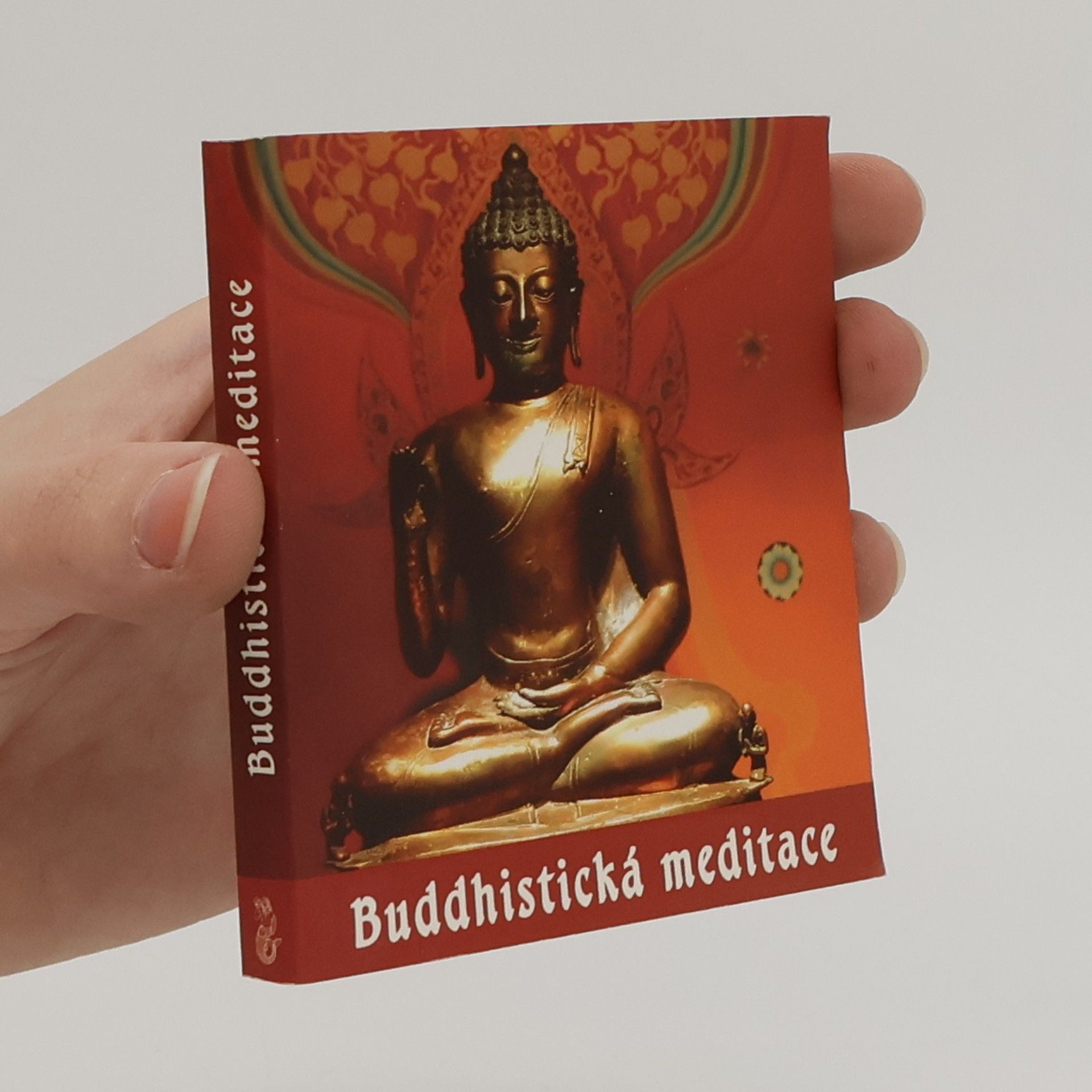 Buddhistická meditace