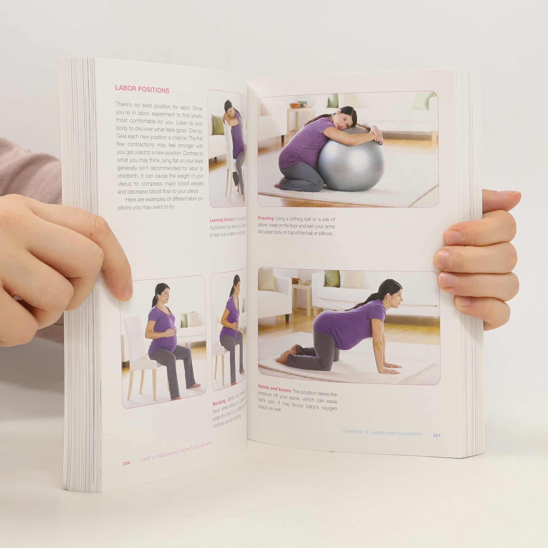 Roger Harms Mayo Clinic Guide to a Healthy Pregnancy