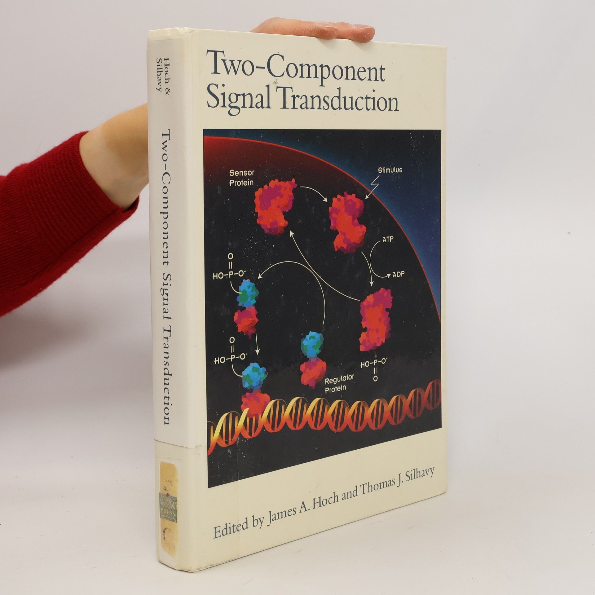 James A. Hoch Two-component Signal Transduction
