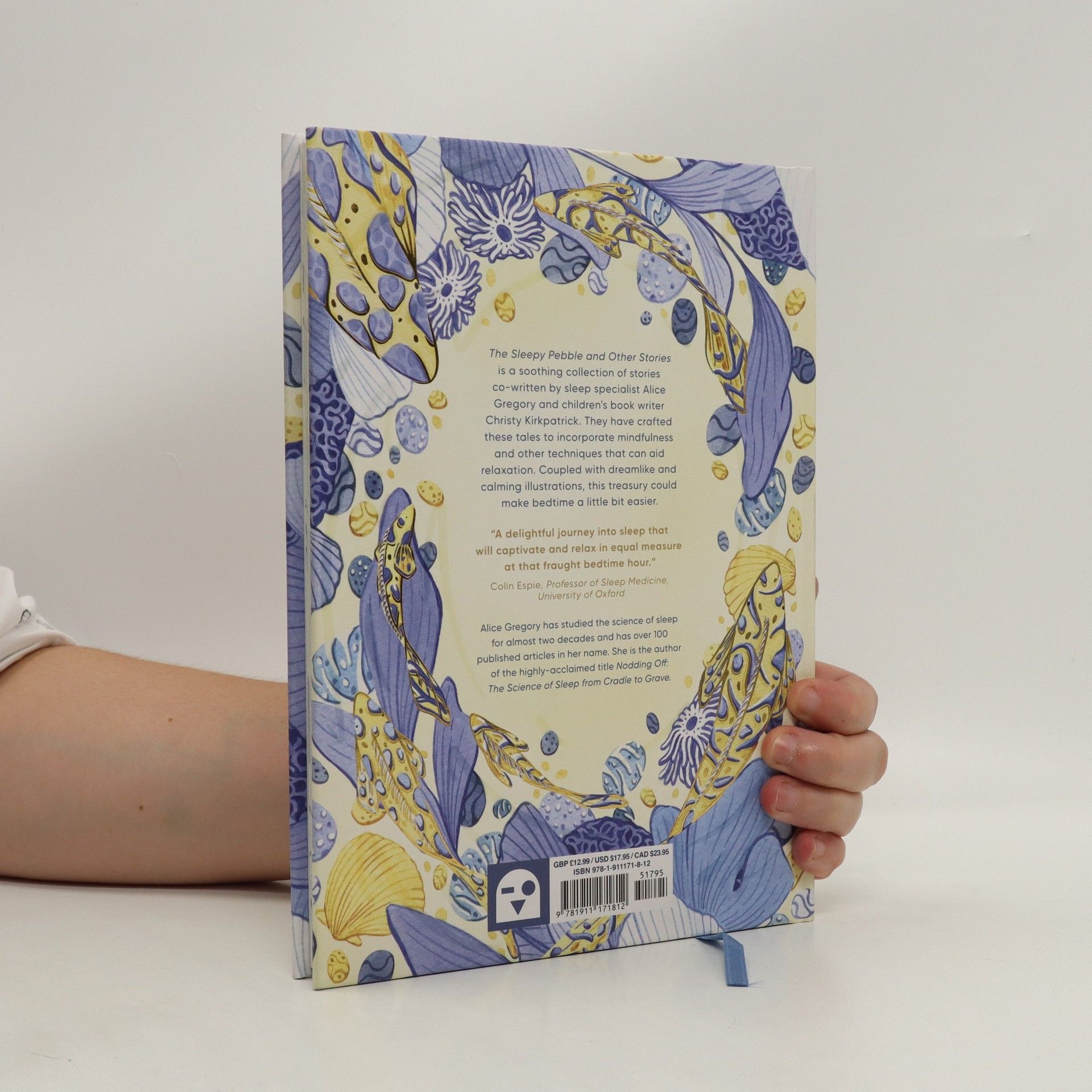 Alice Gregory The sleepy pebble and other stories