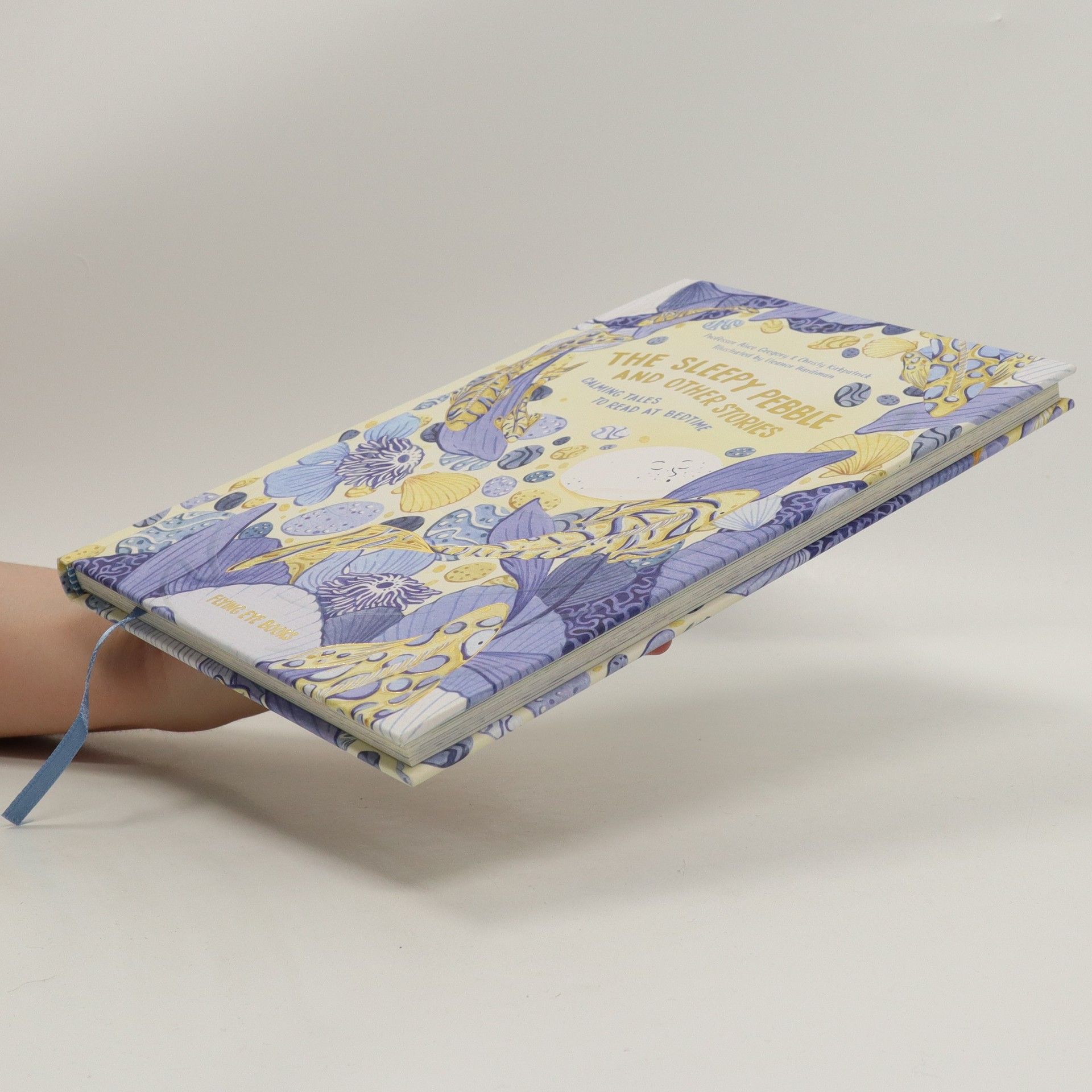 Alice Gregory The sleepy pebble and other stories