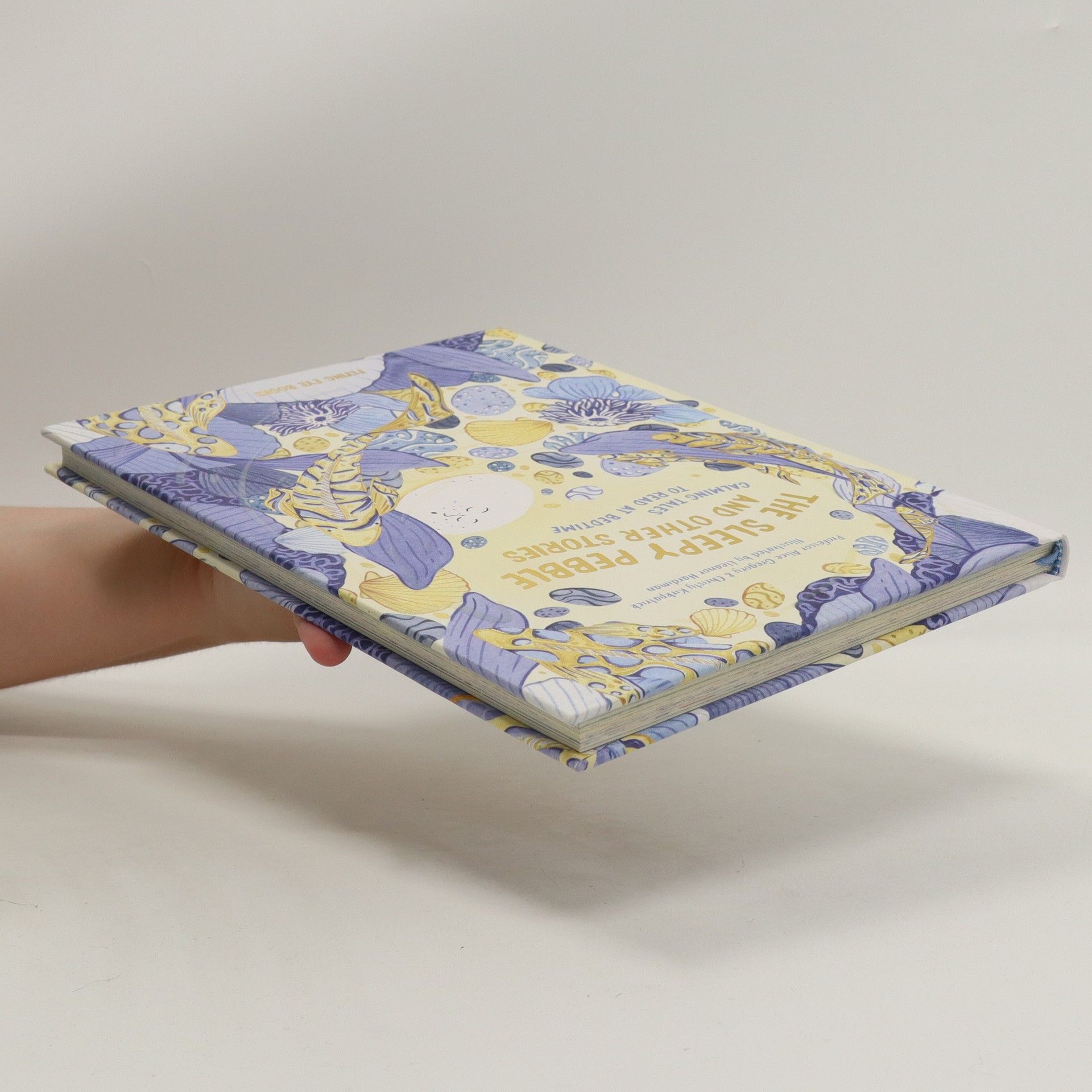 Alice Gregory The sleepy pebble and other stories