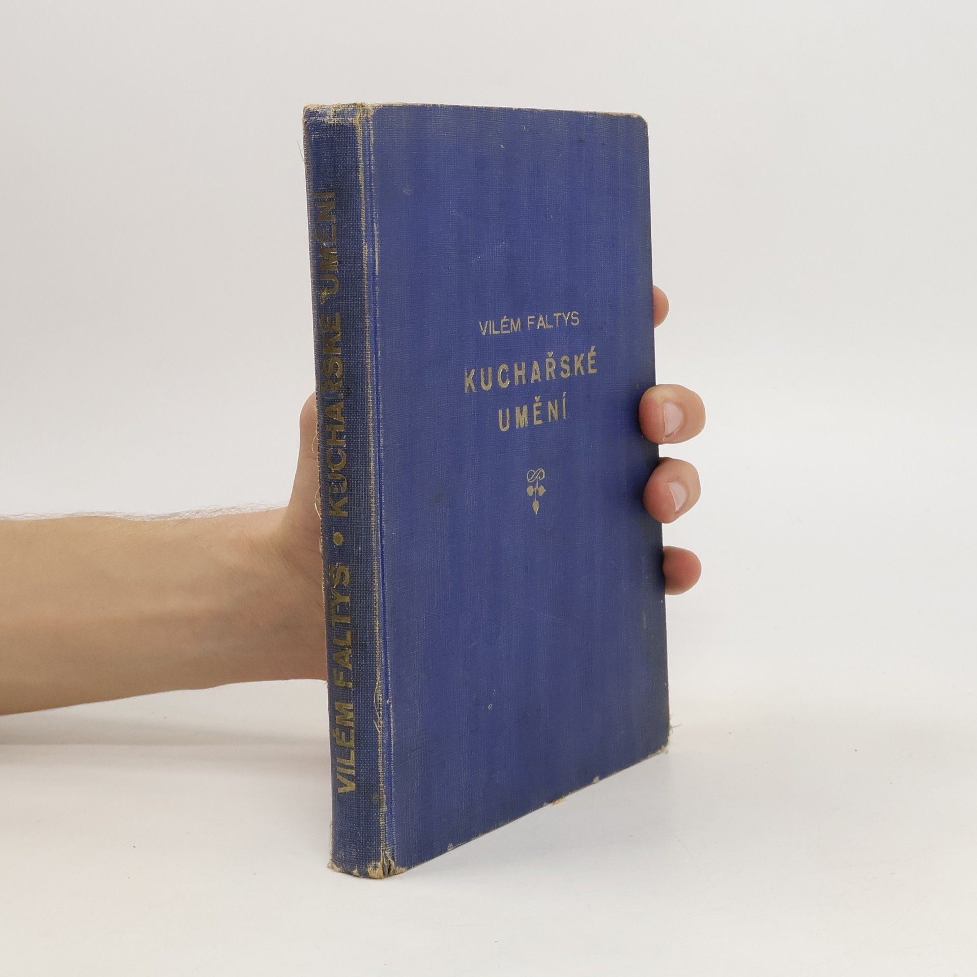 Vilém Faltys Kuchařské umění