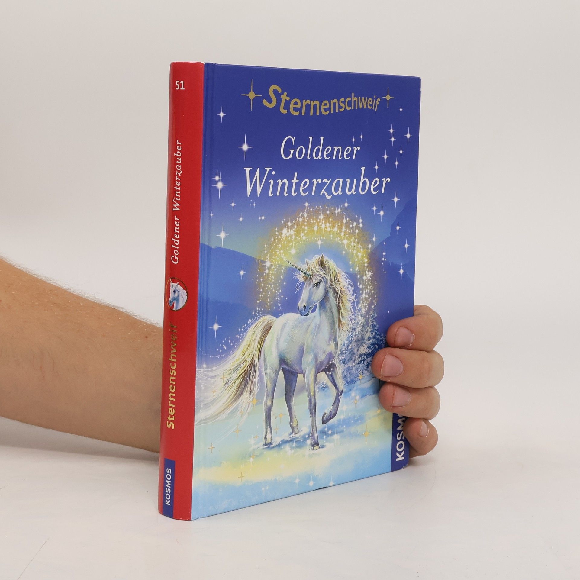 Linda Champan Sternenschweif. Goldener Winterzauber 51