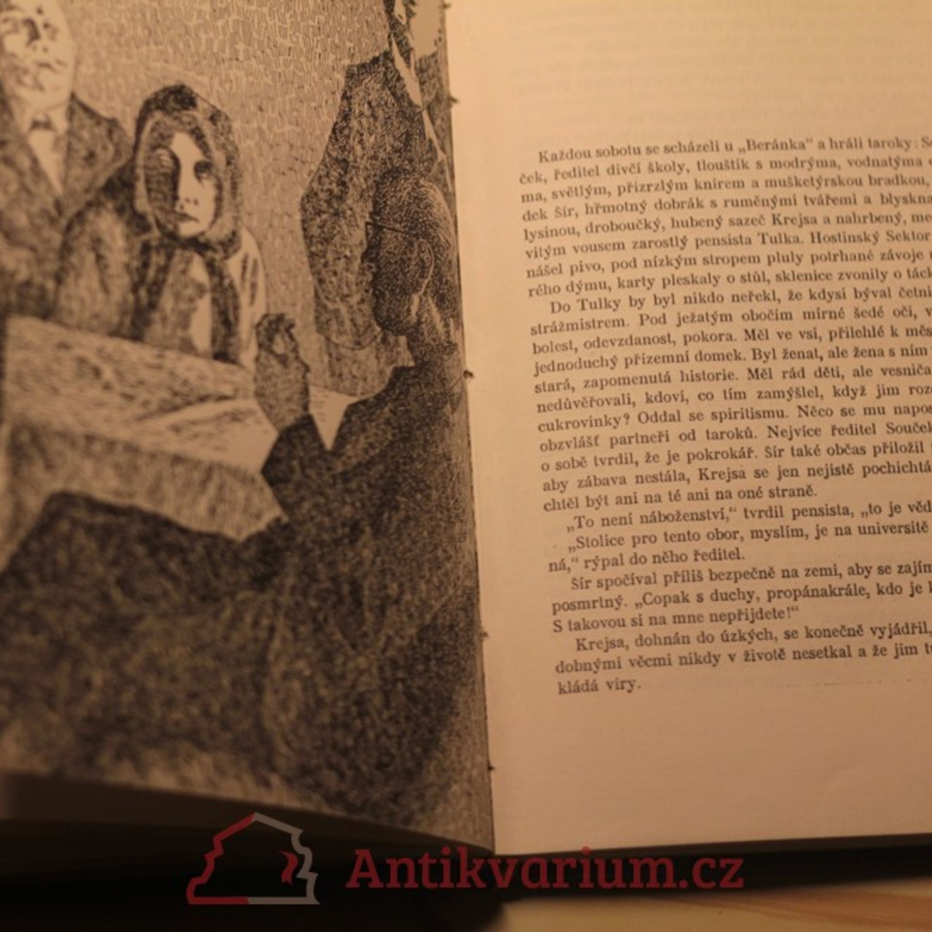 Jaroslav Havlíček Zánik městečka Olšiny : povídky a romanetta