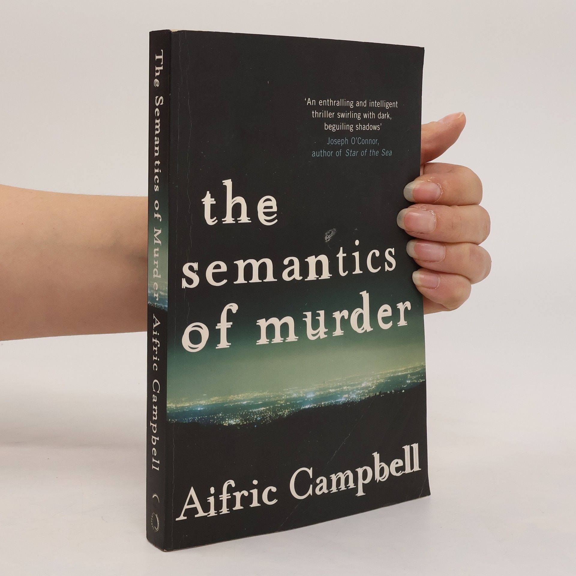 Aifric Campbell The Semantics of Murder