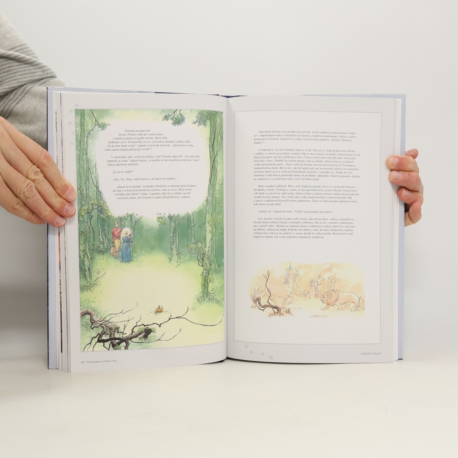 Neil Gaiman Hvězdný prach: romance v říši kouzel