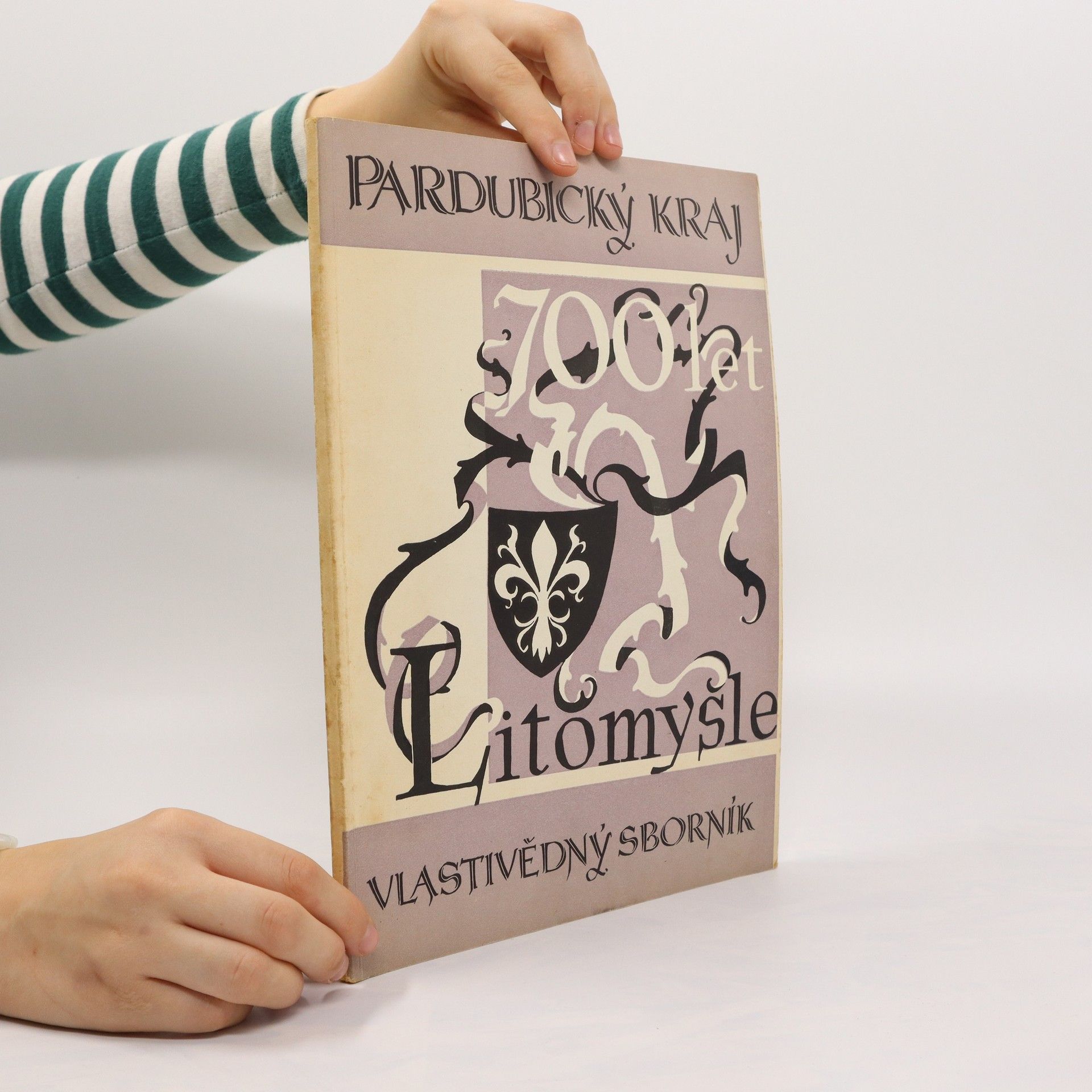 Autorenkollektiv 700 let Litomyšle