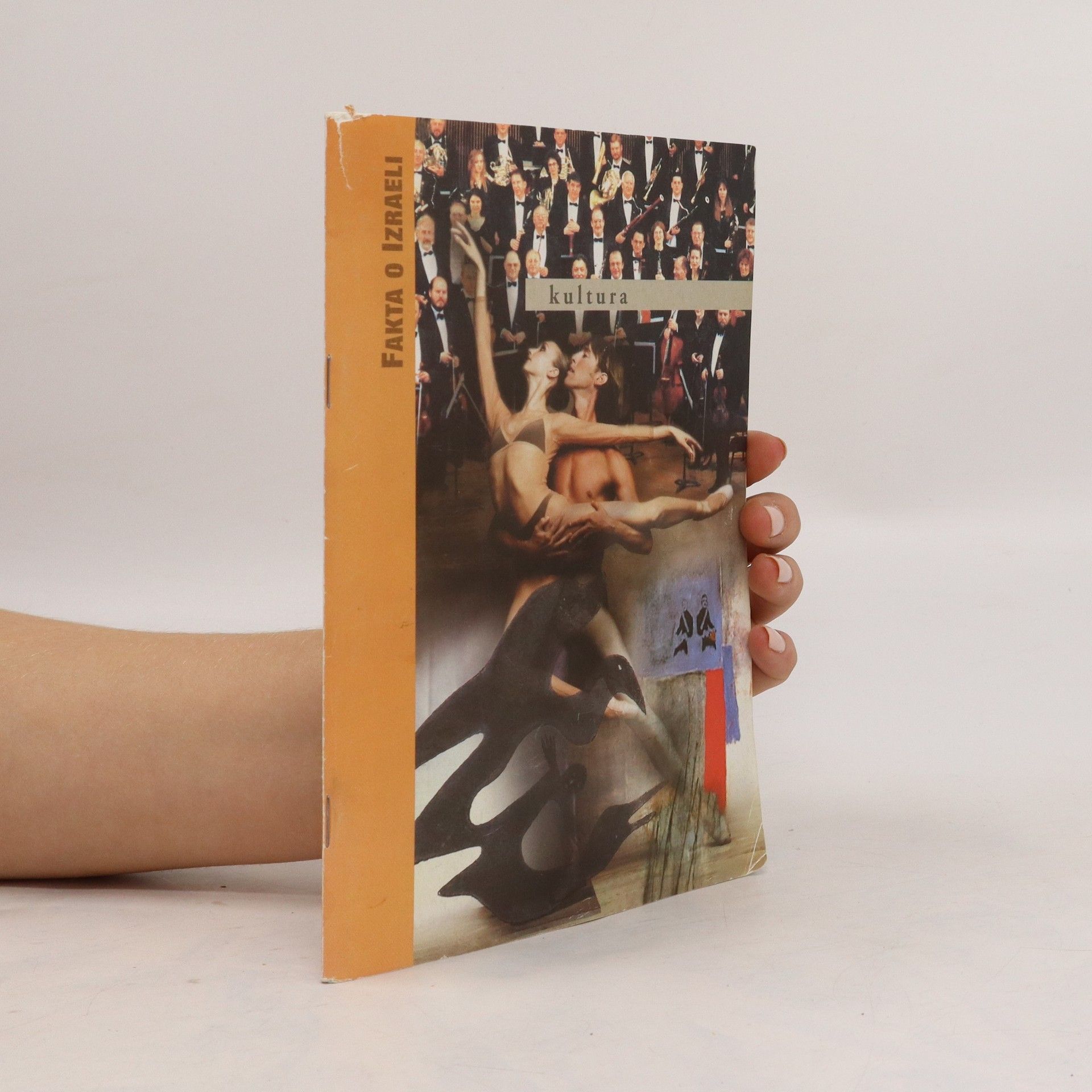 Autorenkollektiv Fakta o Izraeli.