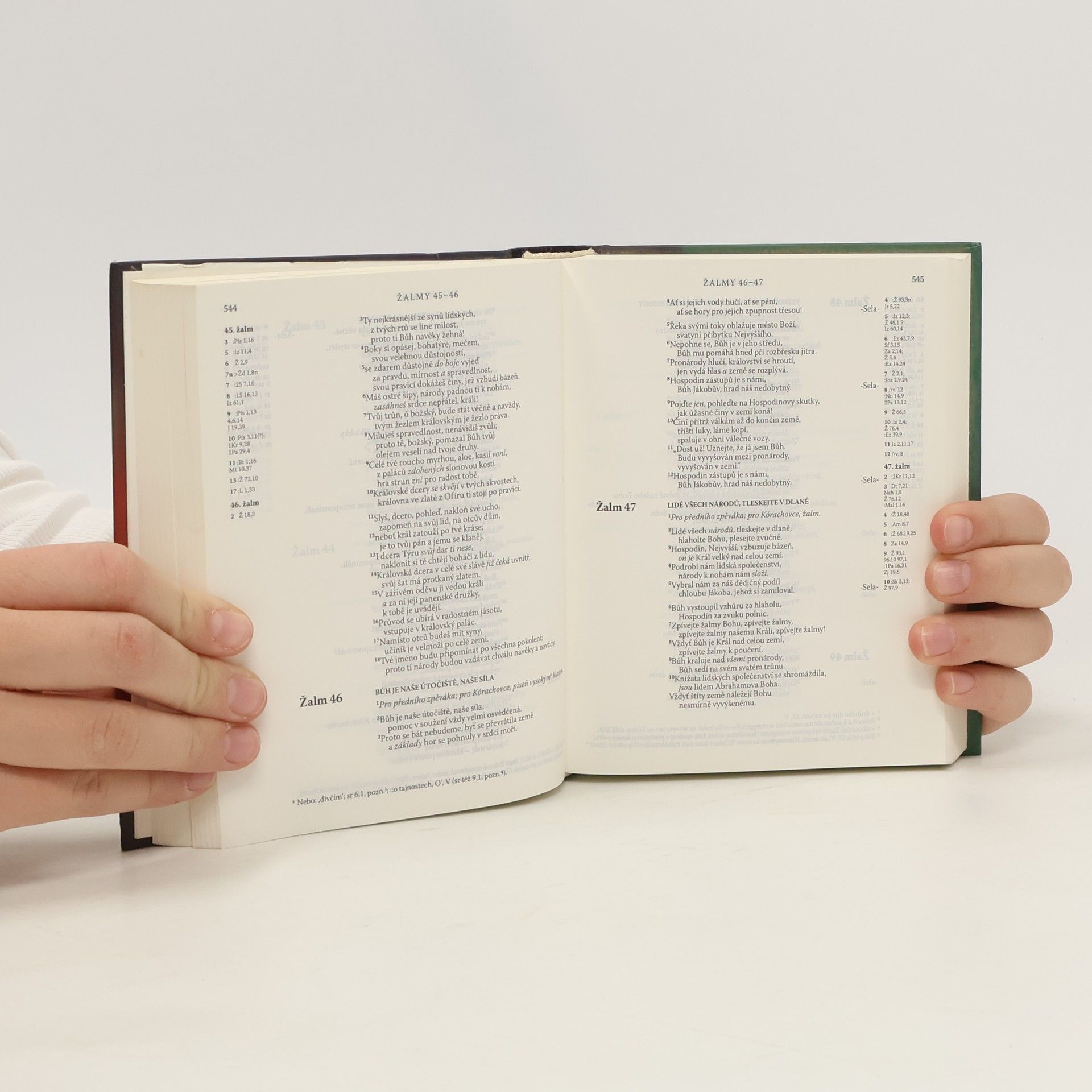Autorenkollektiv Bible
