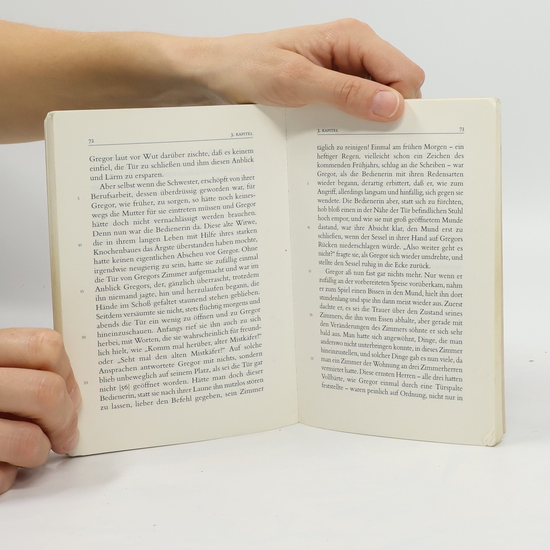 Franz Kafka Die Verwandlung