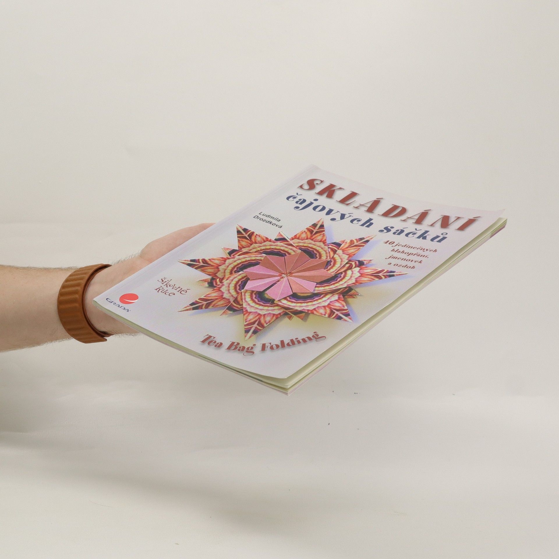 Ludmila Drozdková Skládání čajových sáčků – Tea Bag Folding