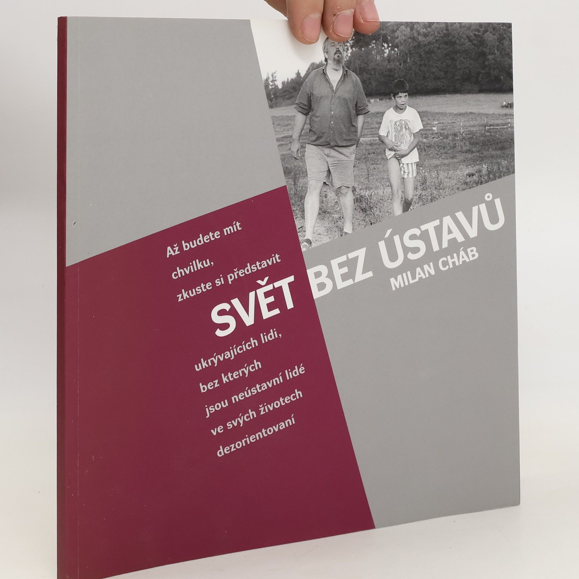 Milan Cháb Svět bez ústavů