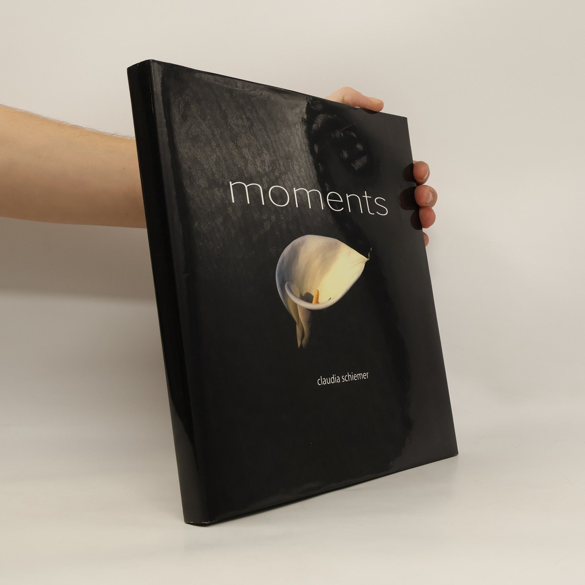 Claudia Schiemer Moments