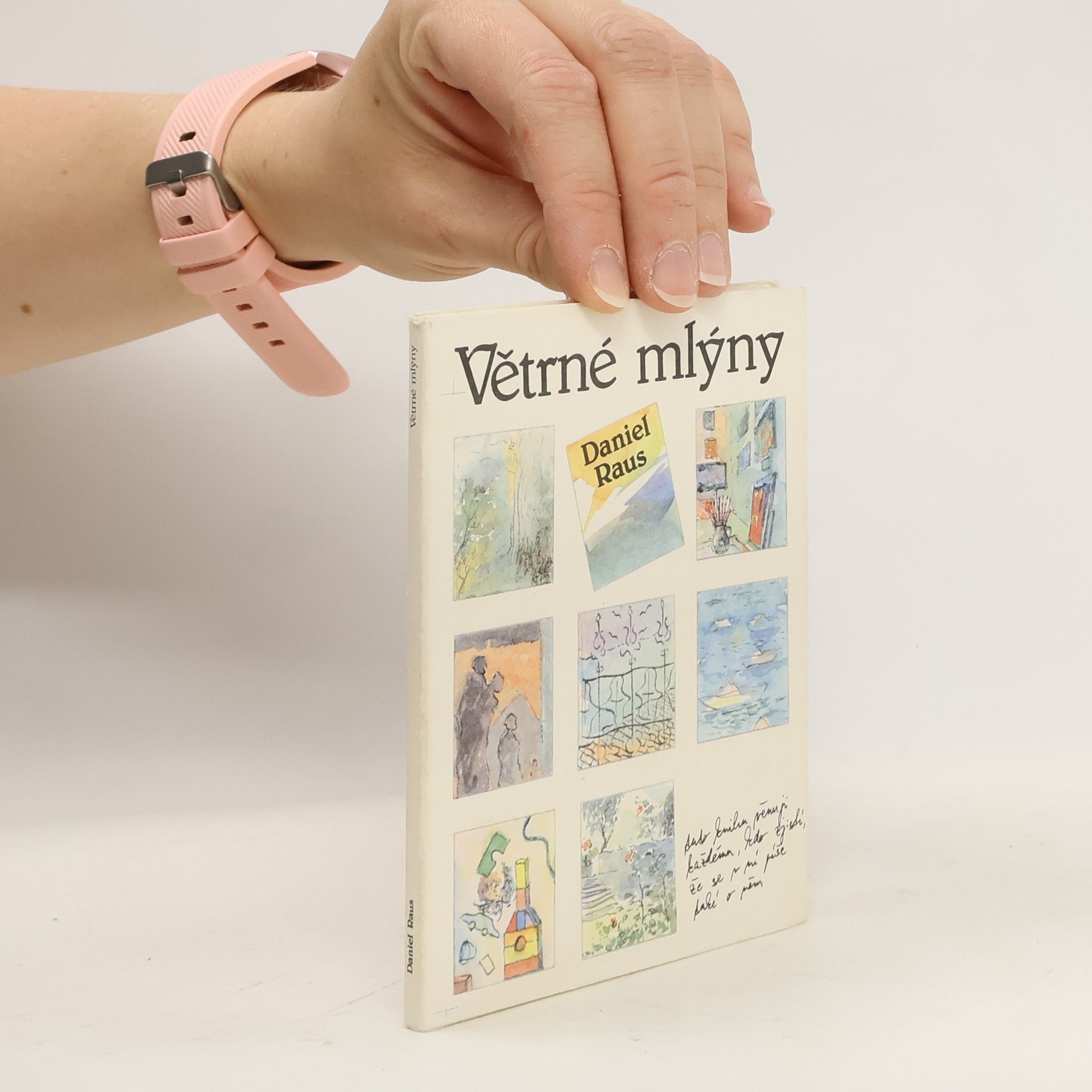 Daniel Raus Větrné mlýny