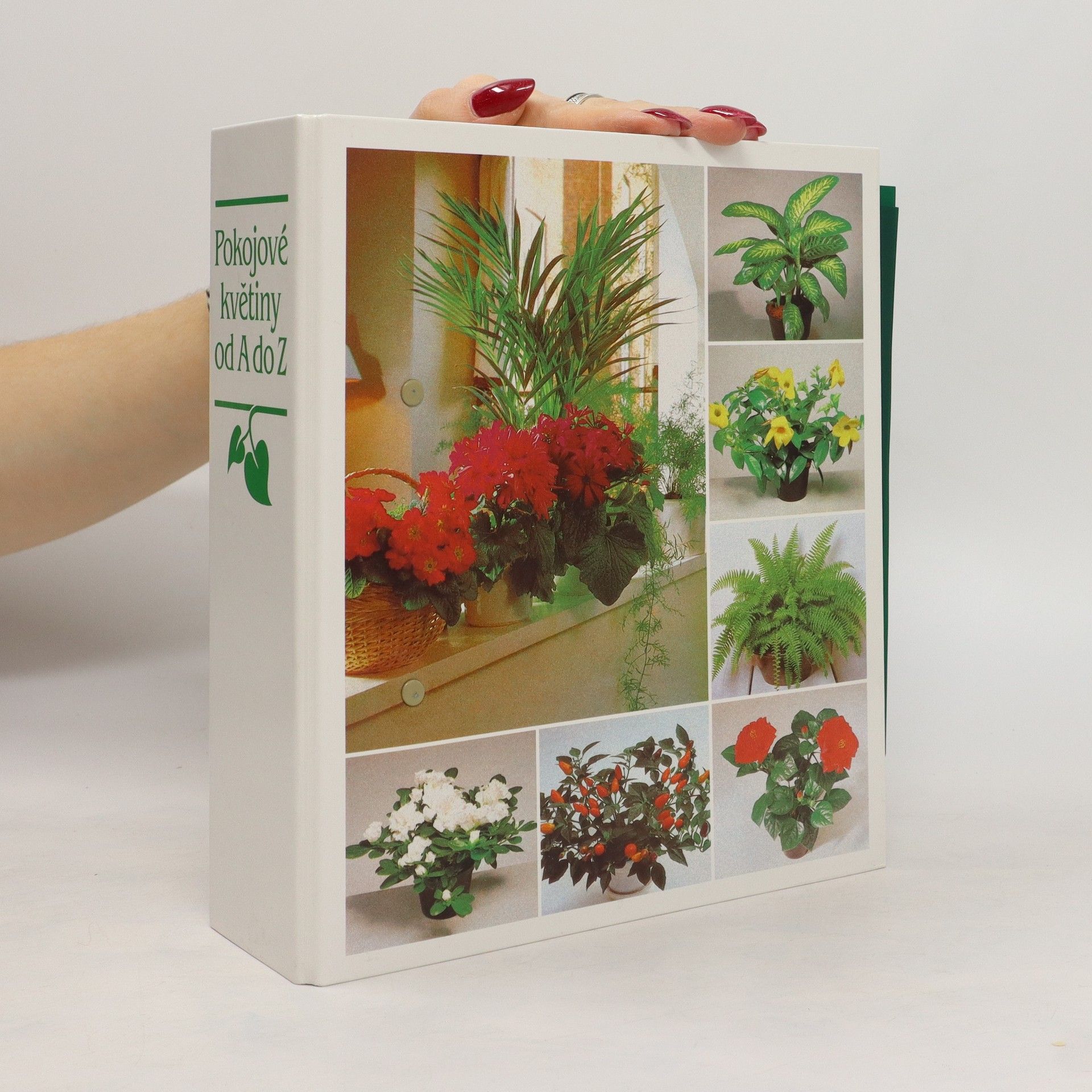 AA.VV. Pokojové květiny od A do Z. 5. svazek