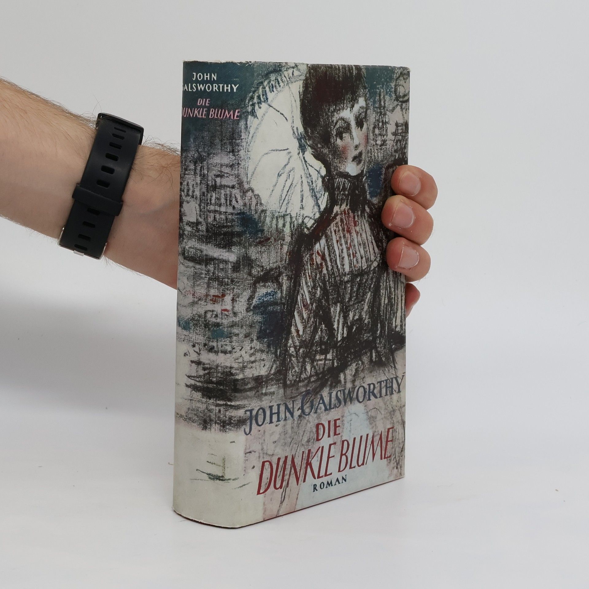 John Galsworthy Die dunkle blume