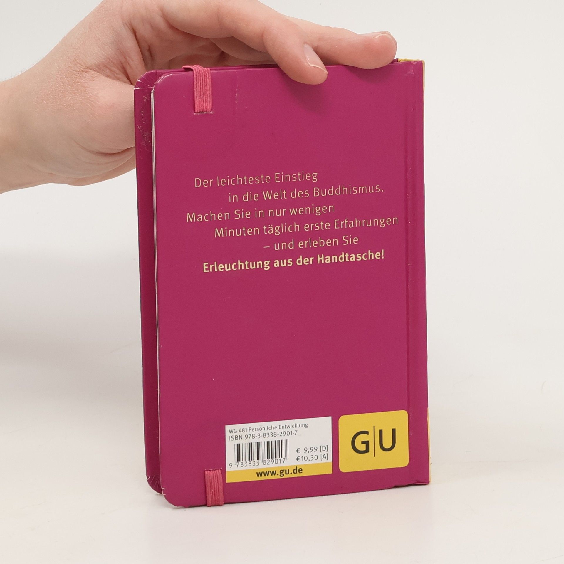 Maren Schneider Der kleine Alltagsbuddhist
