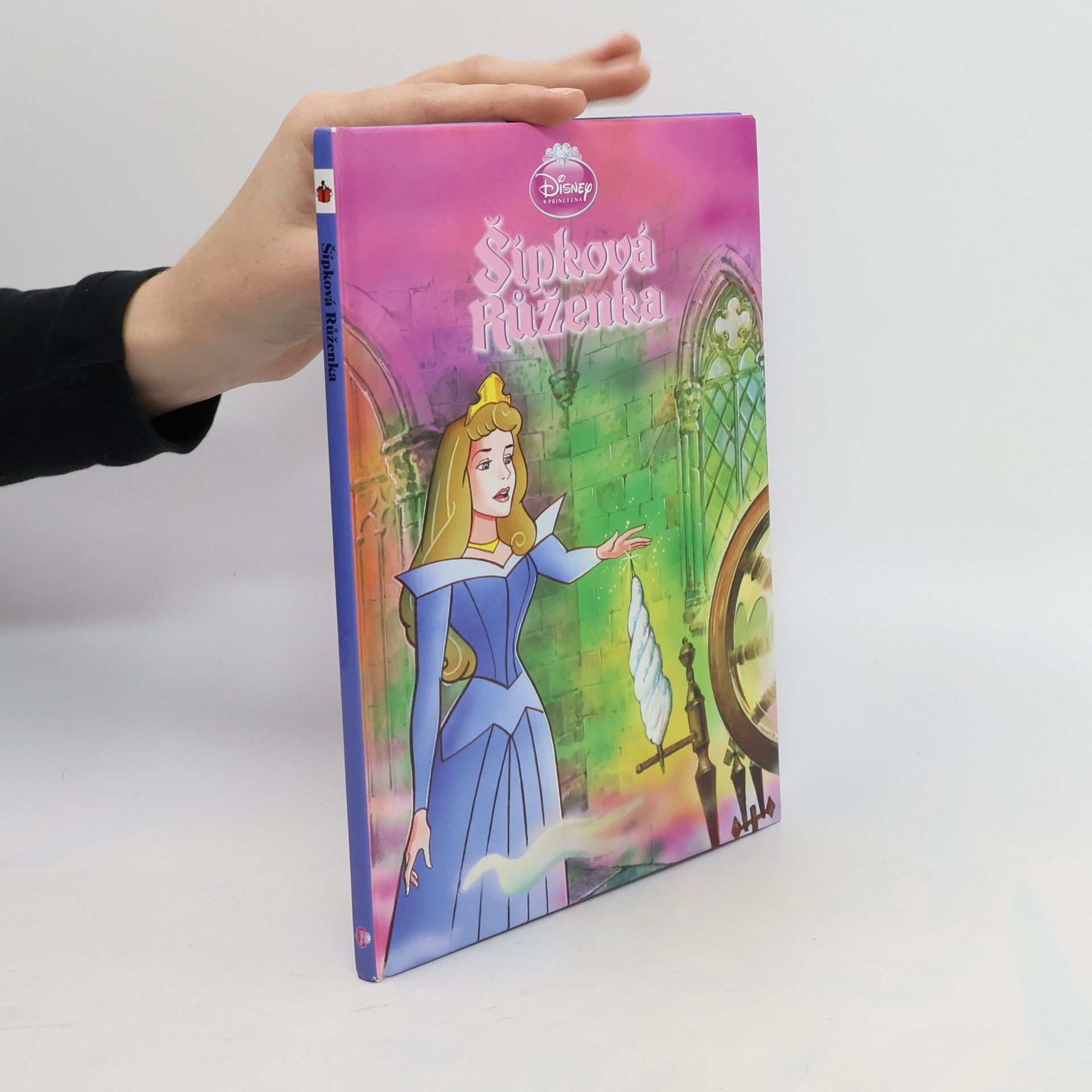 Collectif d'auteurs Šípková Růženka