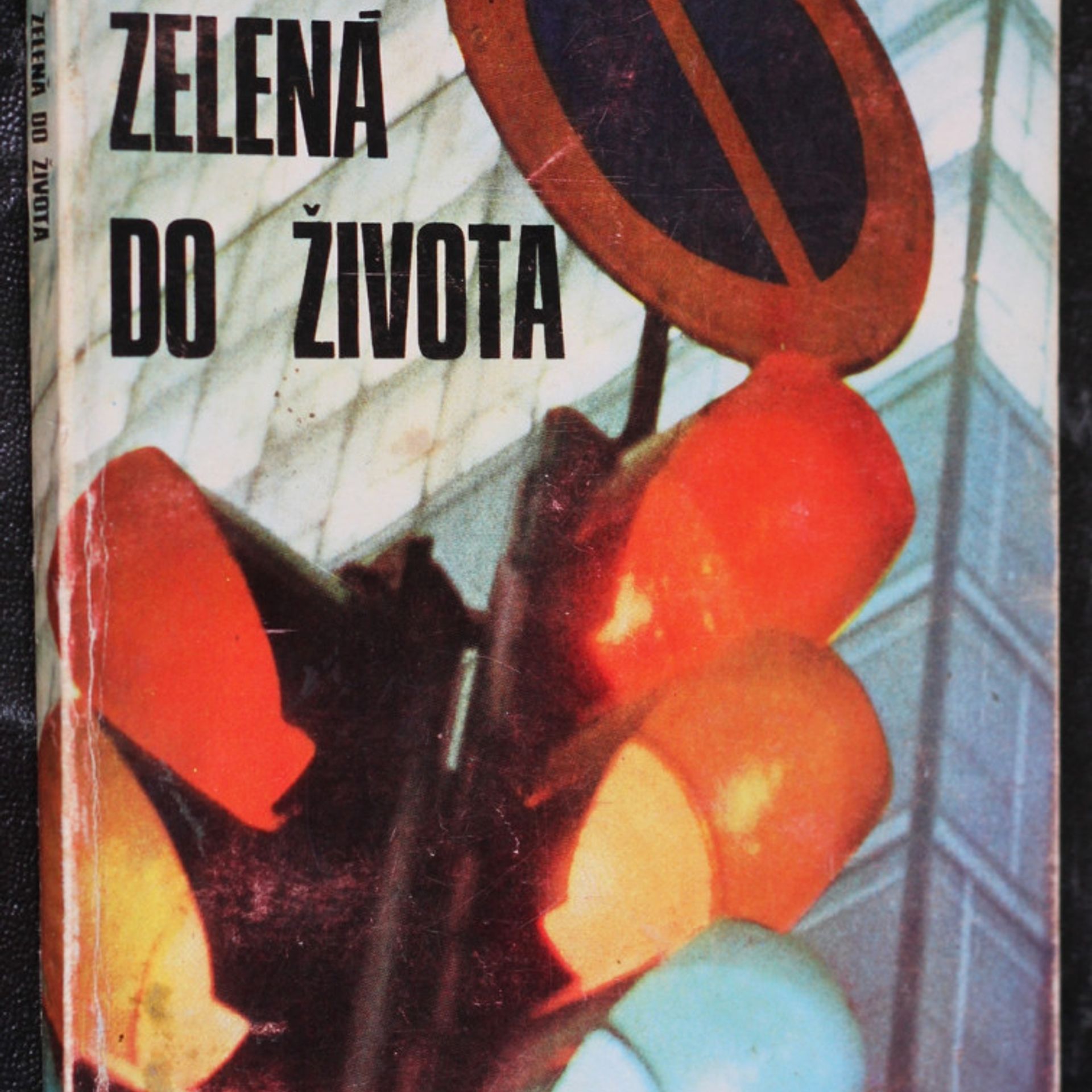 Kolektív autorov Zelená do život