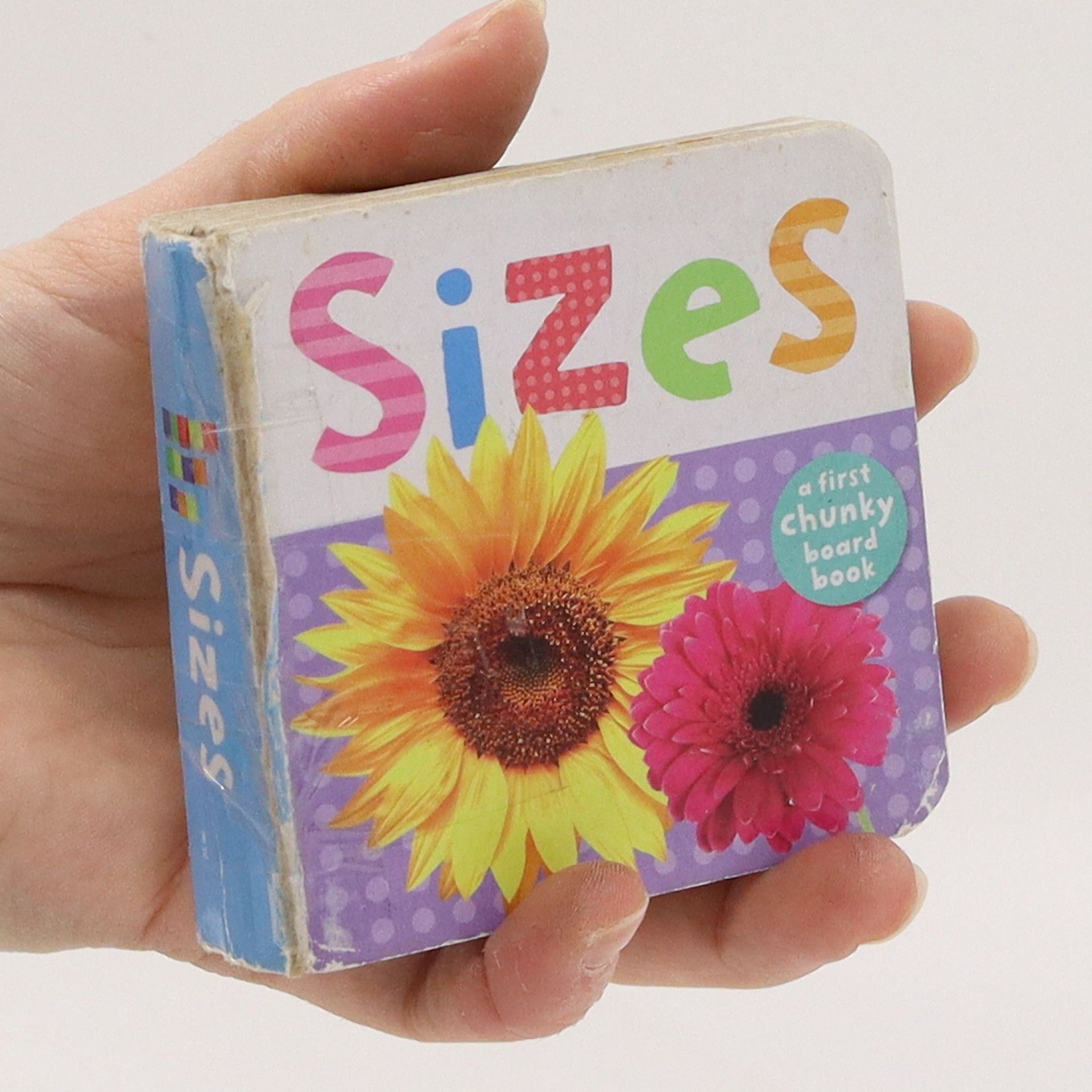 Kolektiv autorů Sizes