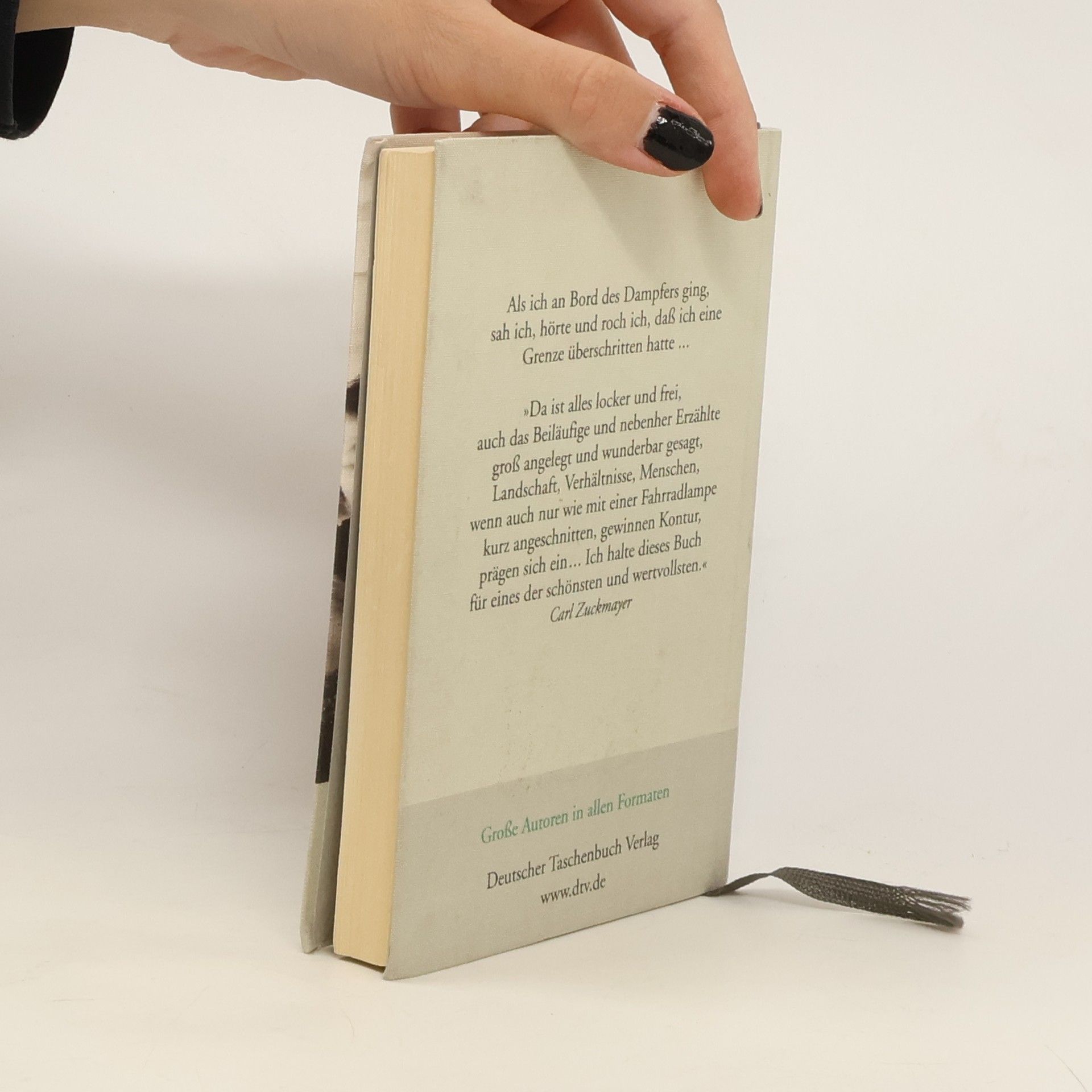 Heinrich Böll Irisches Tagebuch