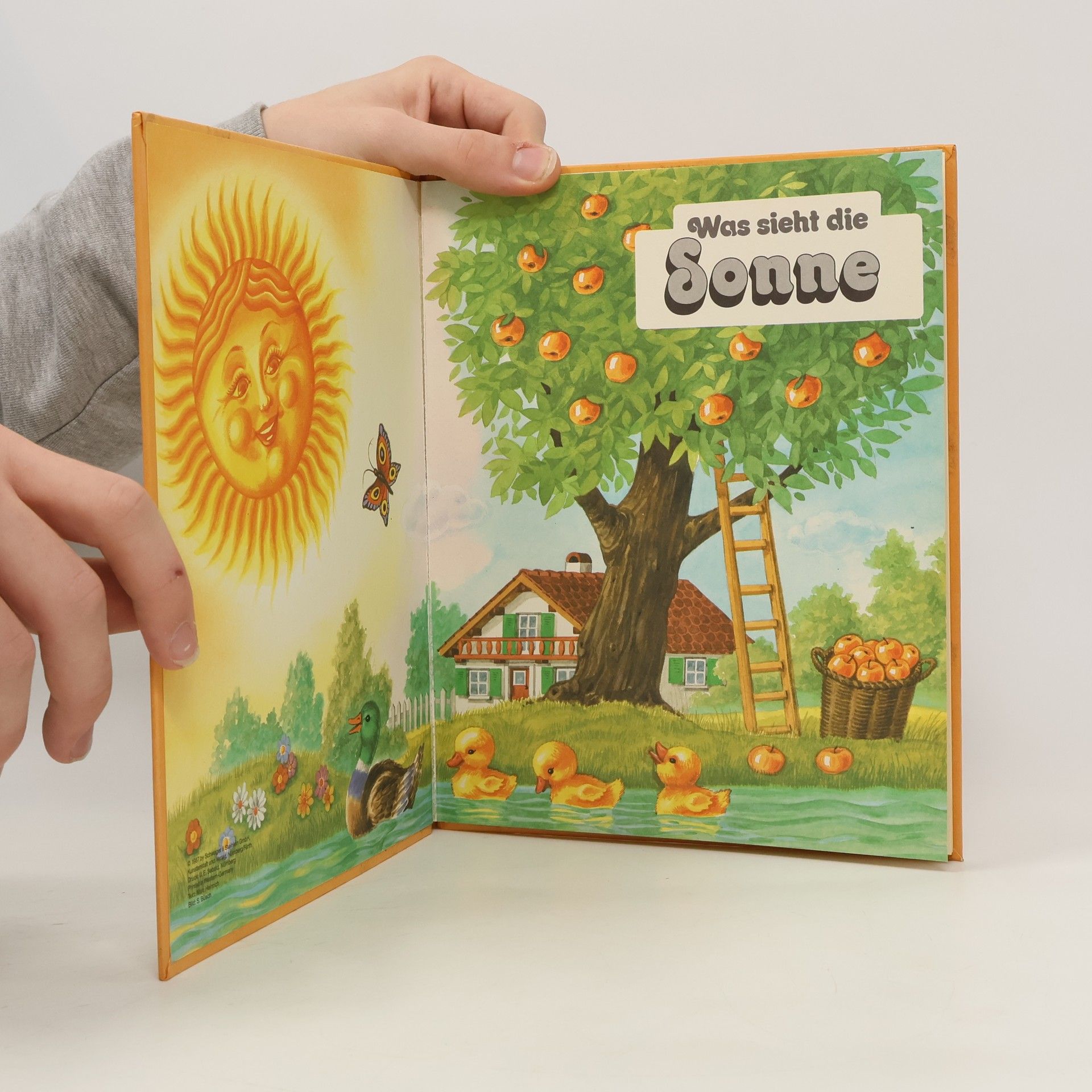 kolektiv Was sieht die Sonne