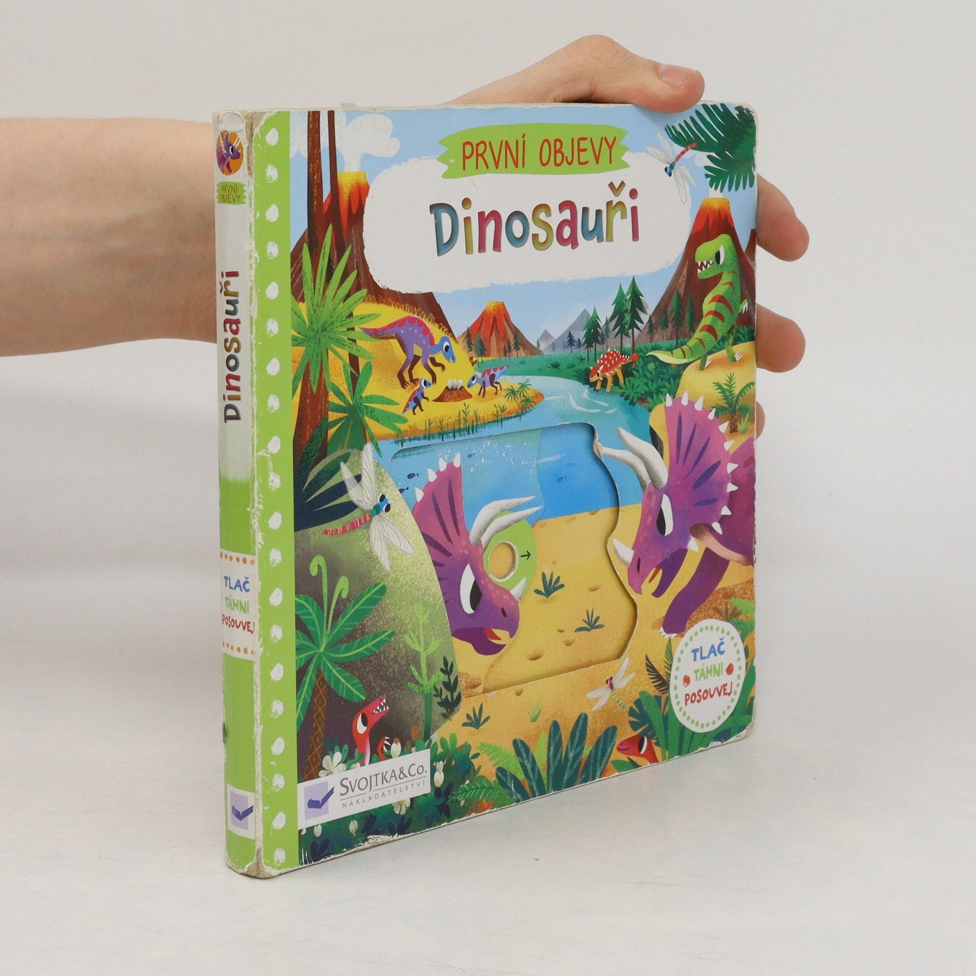 Chorkung Dinosauři