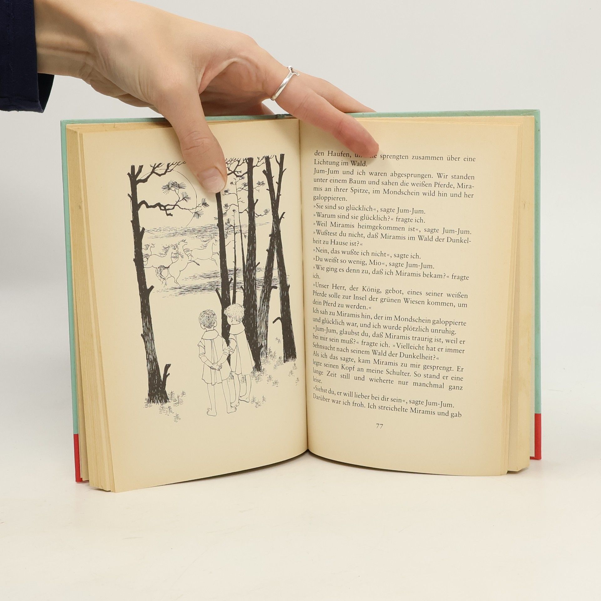 Astrid Lindgren Mio, Mein Mio