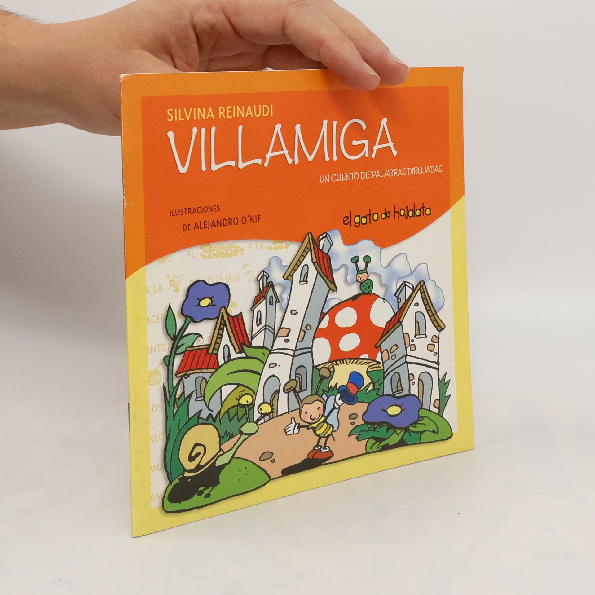 Silvina Reinaudi Villamiga