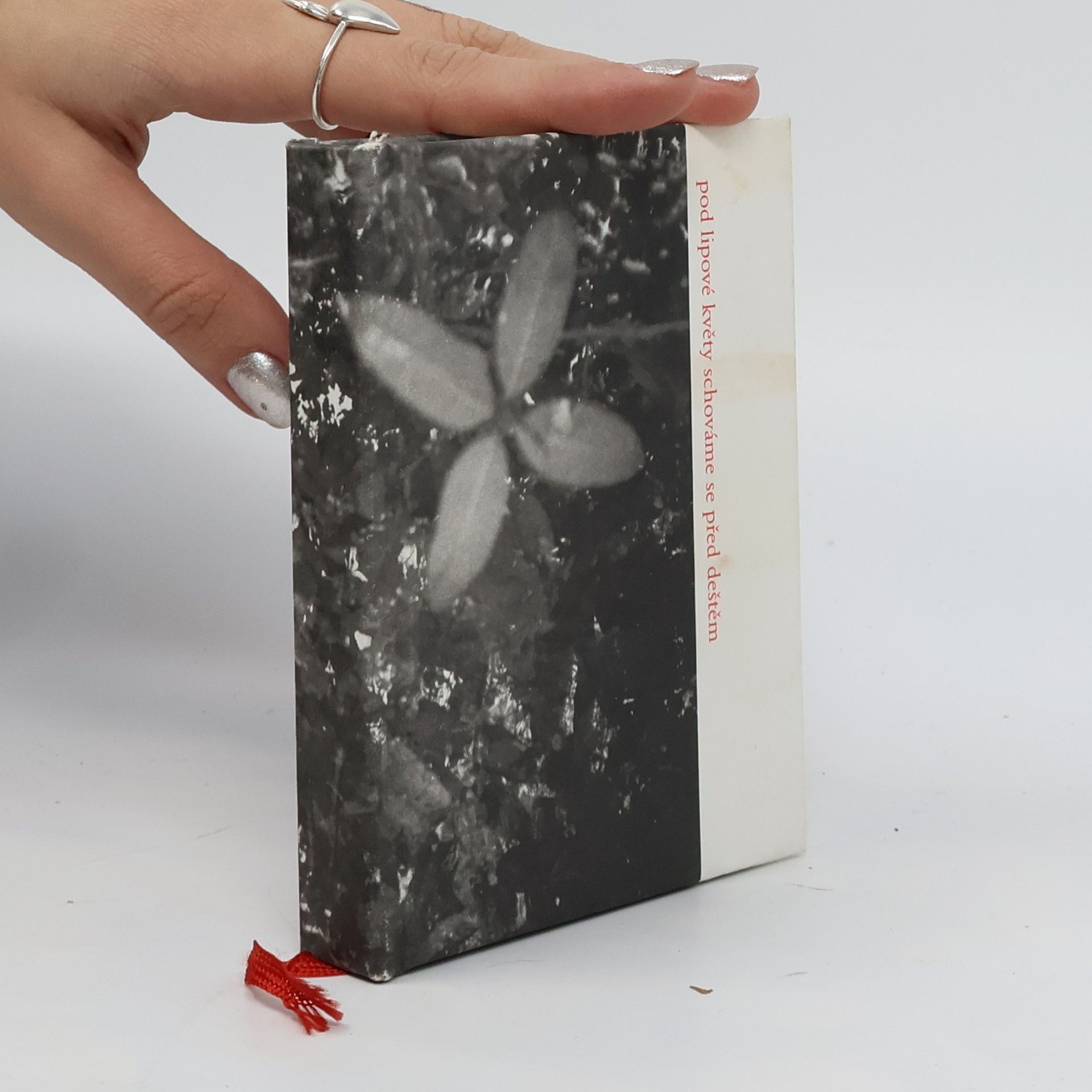 Collectif d'auteurs Pod lipové květy schováme se před deštěm