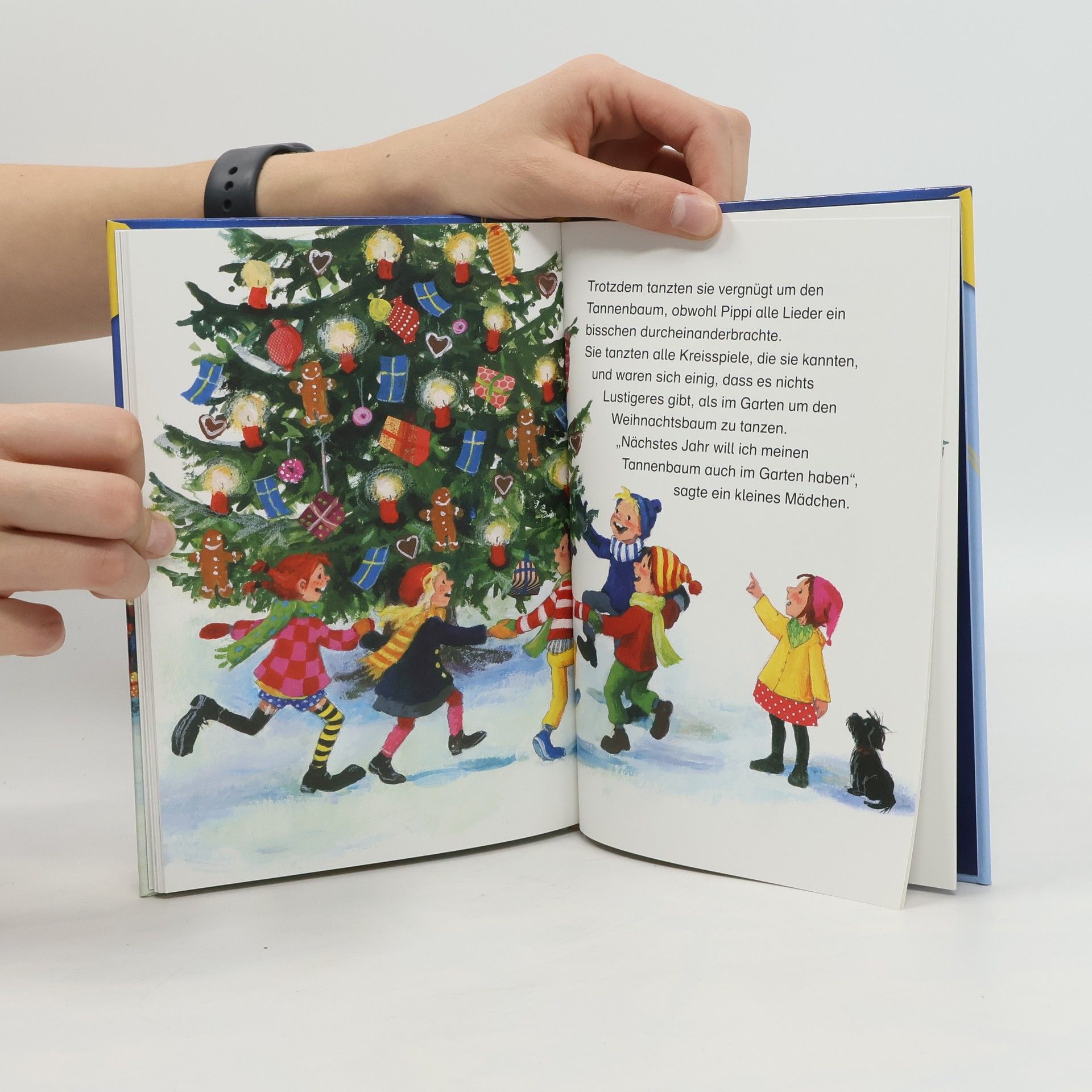 Astrid Lindgren Pippi plündert den Weihnachtsbaum