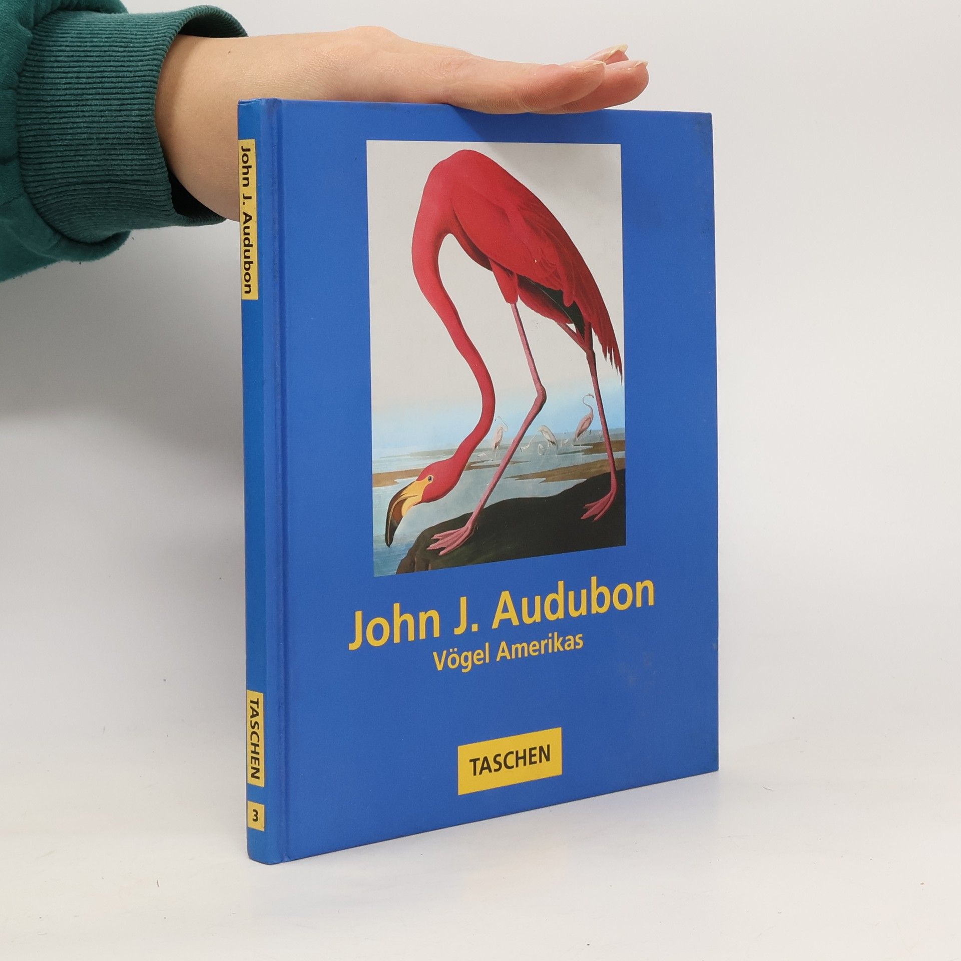 John James Audubon John James Audubons Vögel Amerikas