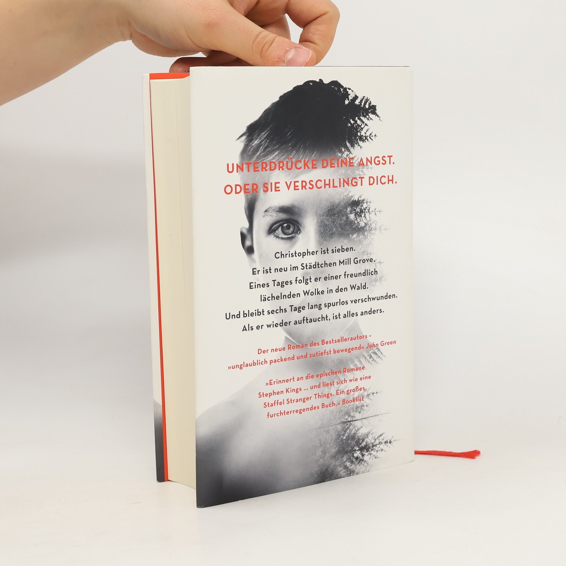 Stephen Chbosky Der unsichtbare Freund