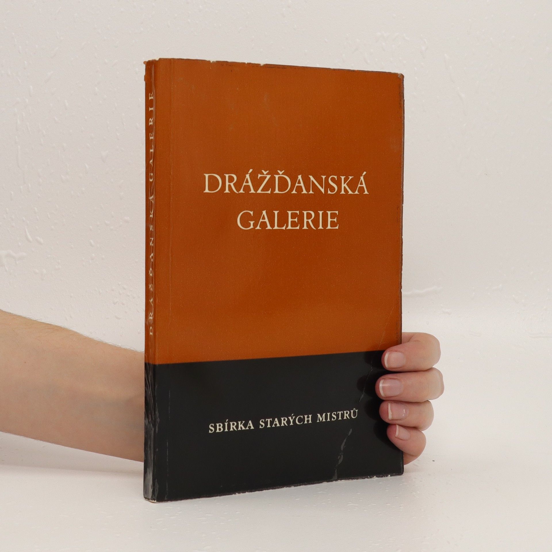 Kolektív autorov Drážďanská galerie. Sbírka starých mistrů.