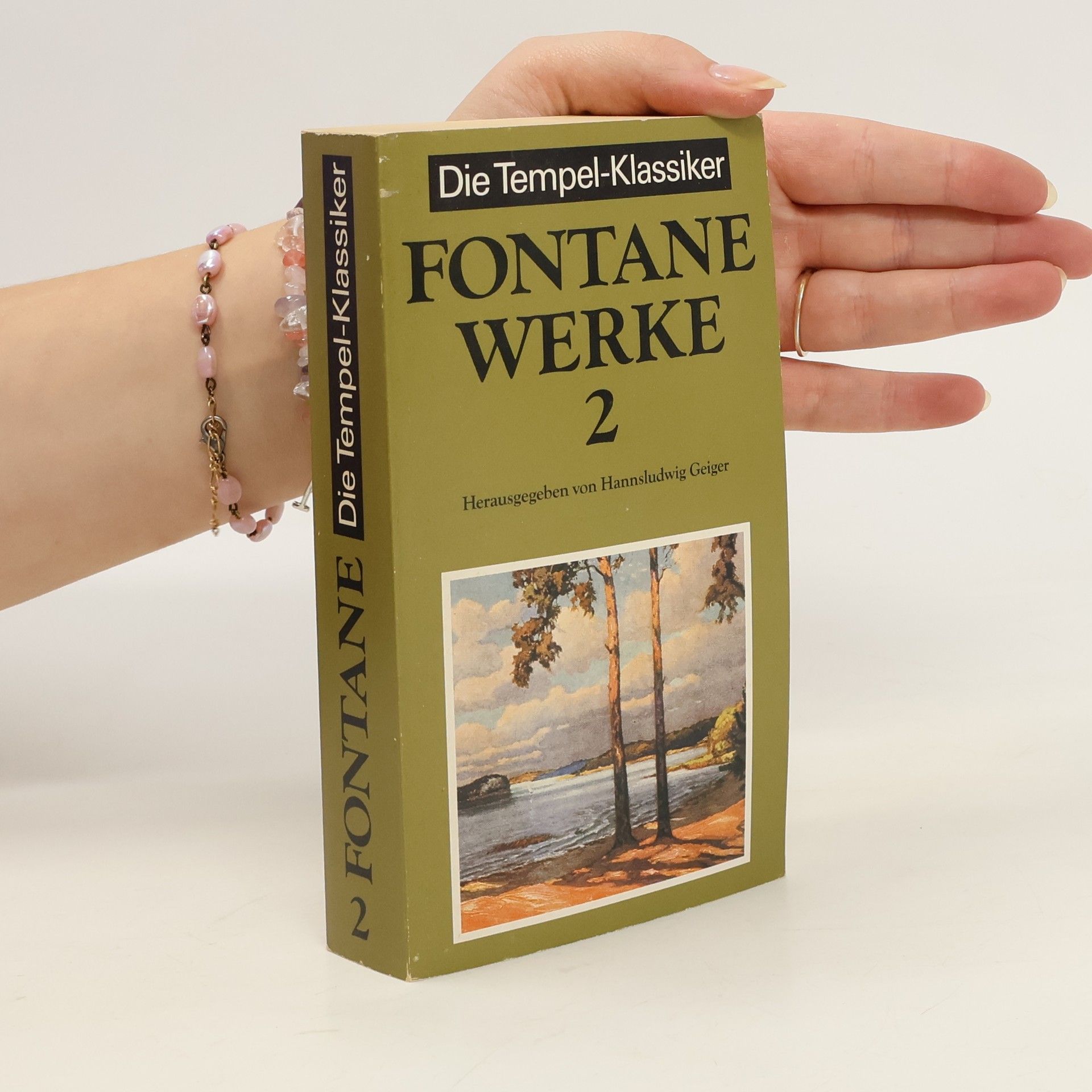 Autorenkollektiv Fontane werke 2