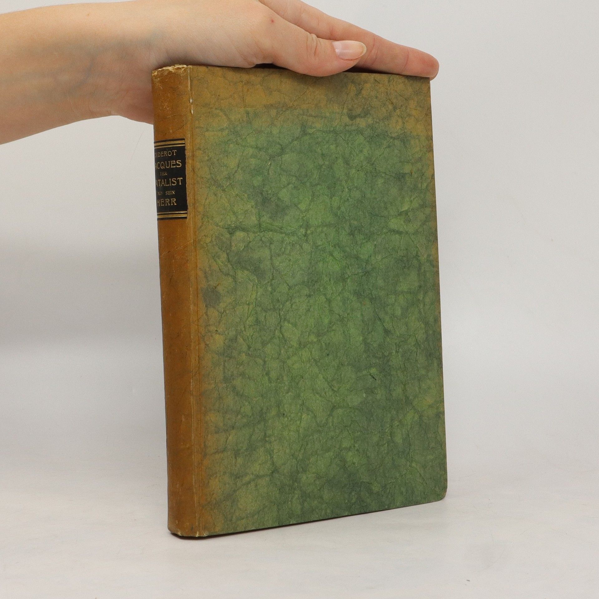 Denis Diderot Die Romane und Erzählungen