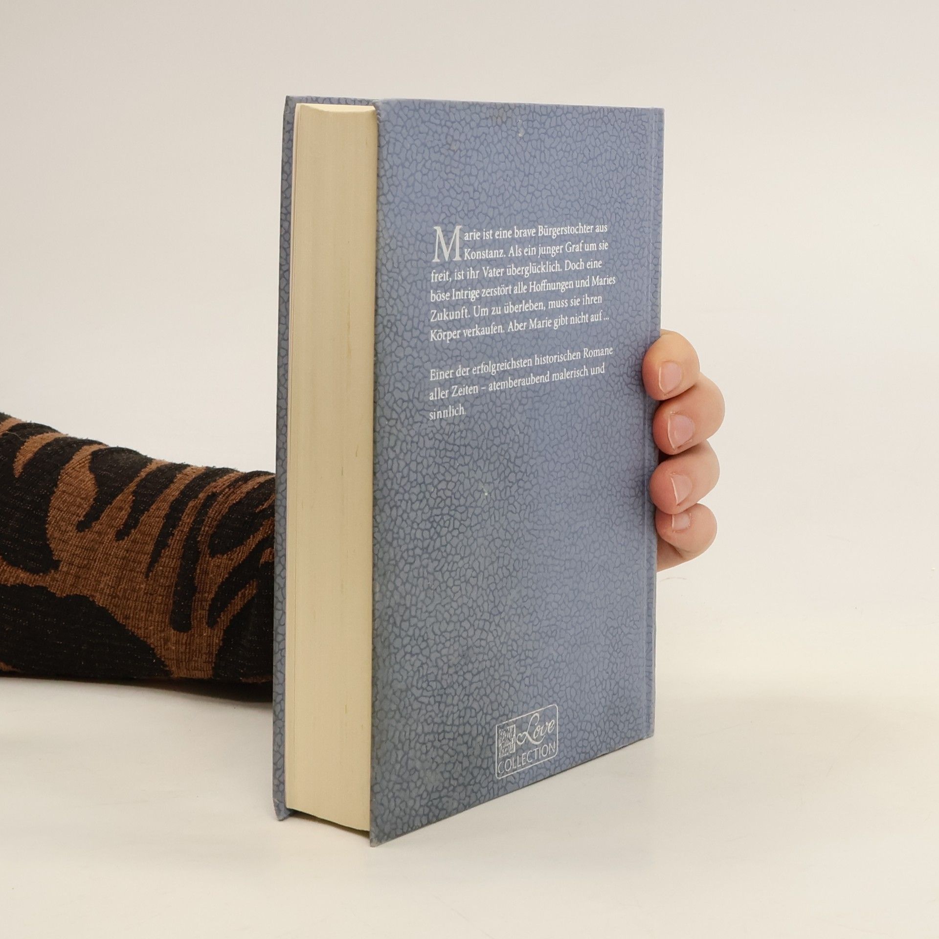 Iny Lorentz Die Wanderhure