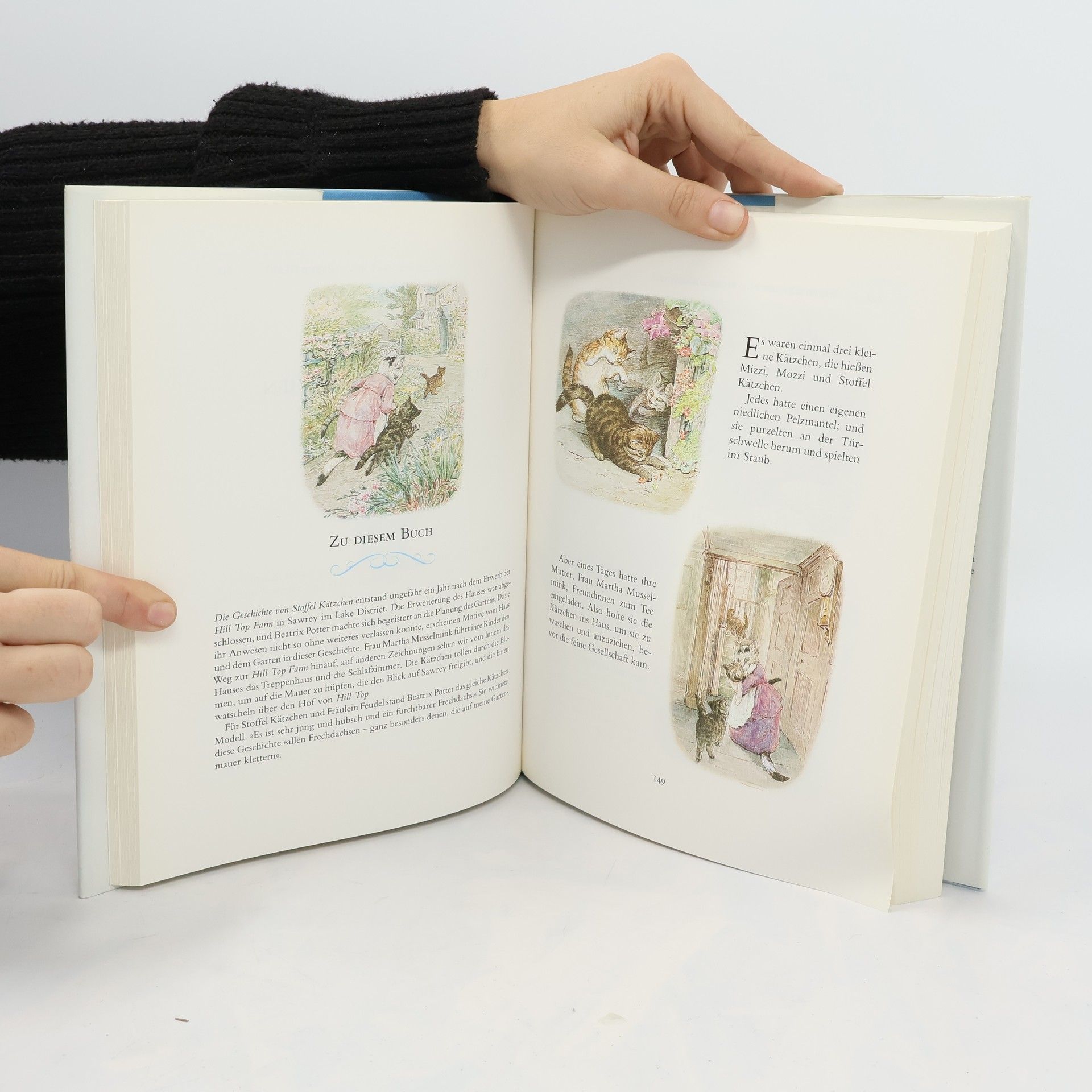 Beatrix Potter Das grosse Beatrix-Potter-Geschichtenbuch