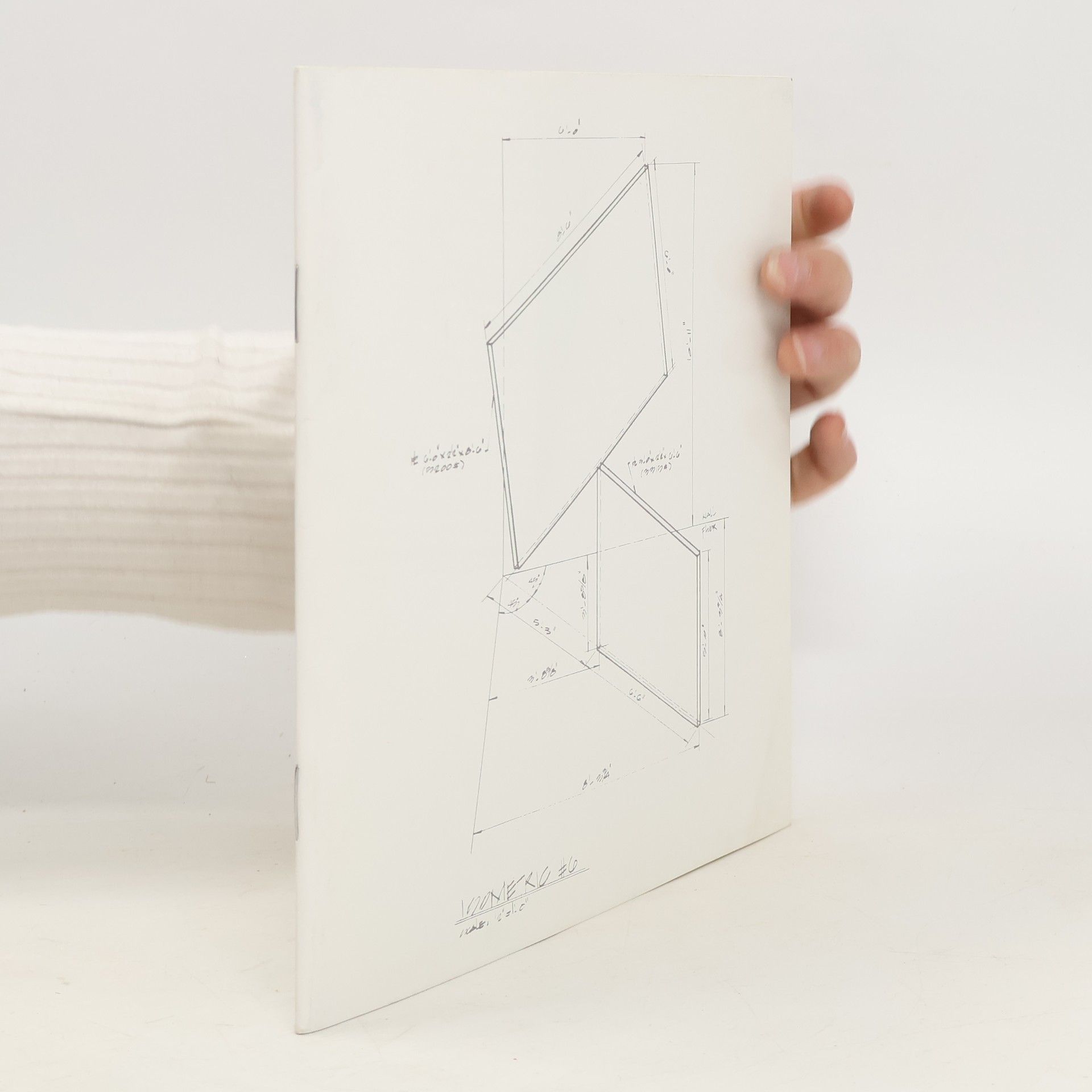 Michael Pauseback Richard Serra. Skulpturen und Zeichnungen, 1967 – 1983. Reinhard Onnasch Ausstellungen, Berlin, 1983