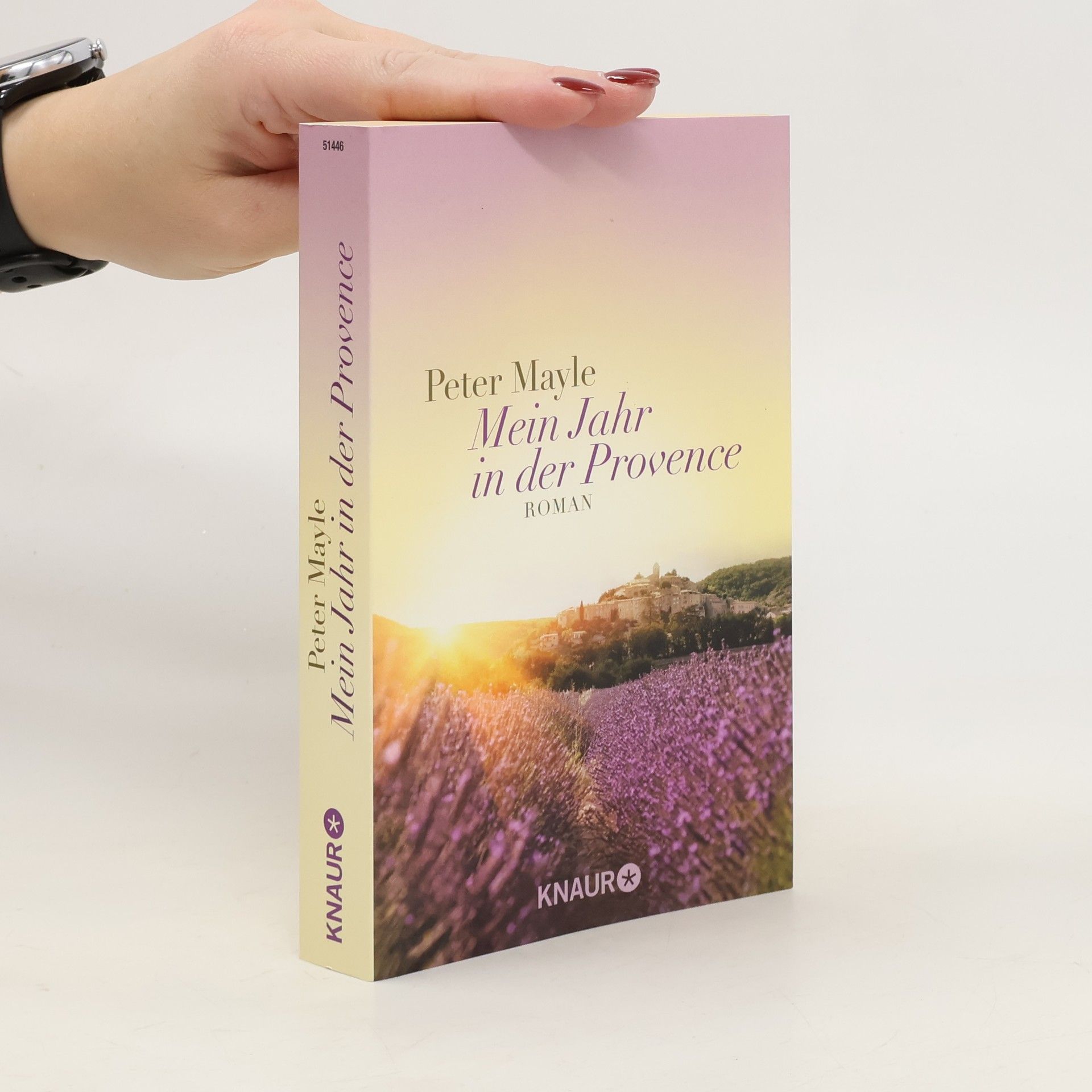 Peter Mayle Mein Jahr in der Provence: Roman
