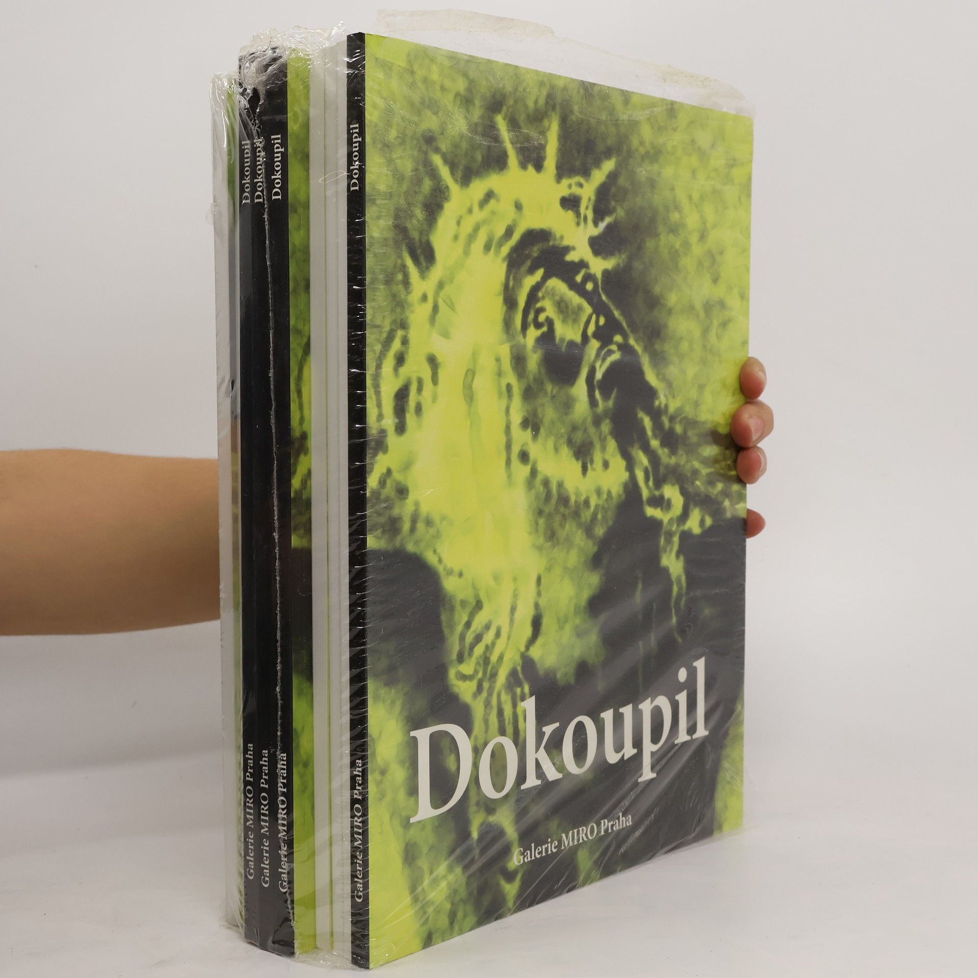 Jiří G. Dokoupil Dokoupil - Nové religiózní obrazy