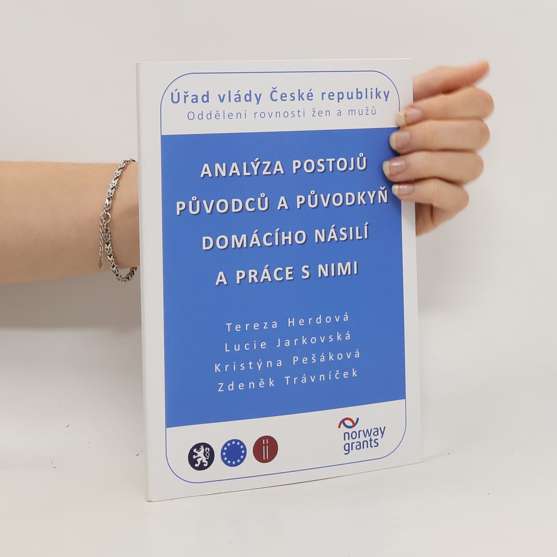 Autorenkollektiv Analýza postojů původců a původkyň domácího násilí a práce s nimi