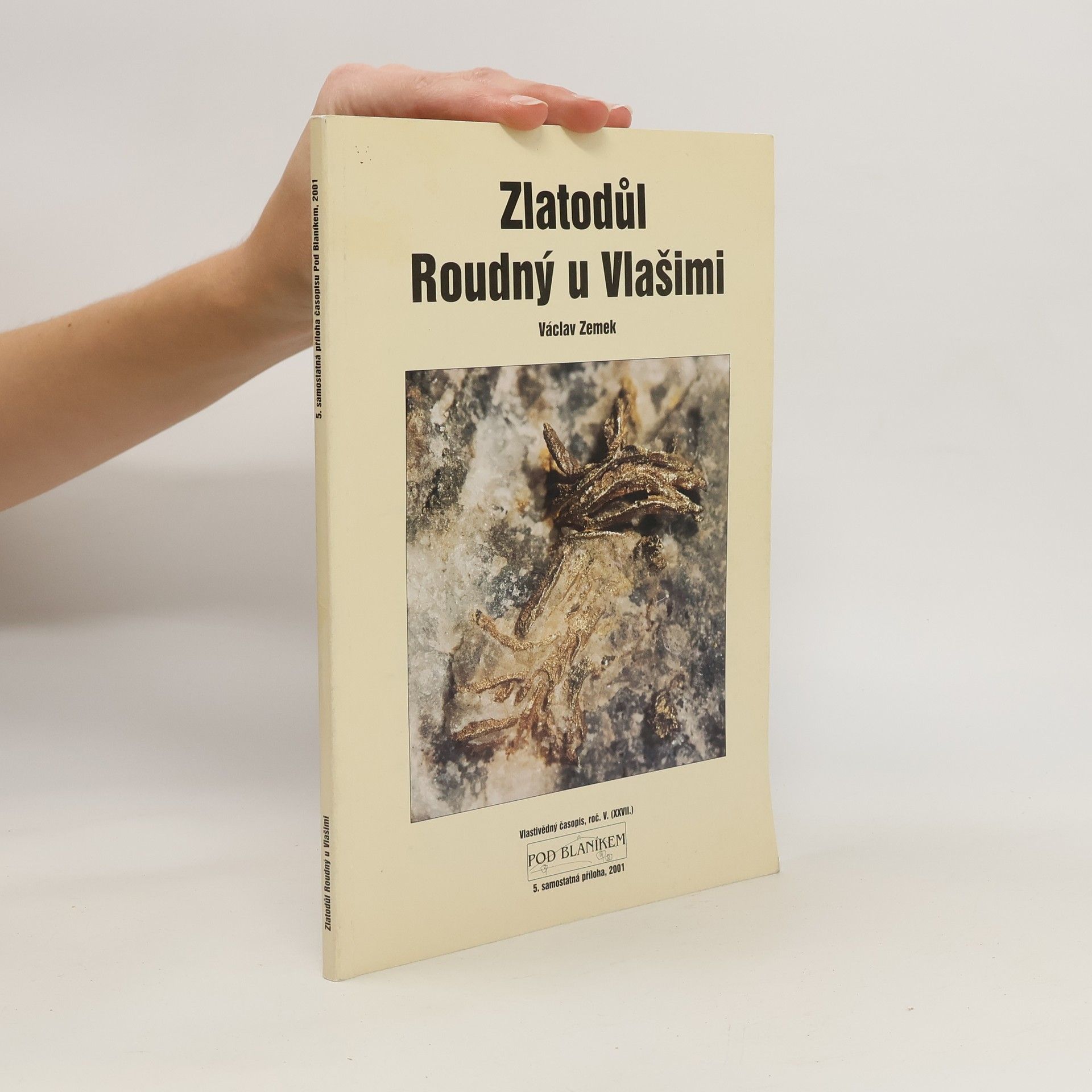 Various authors Zlatodůl Roudný u Vlašimi