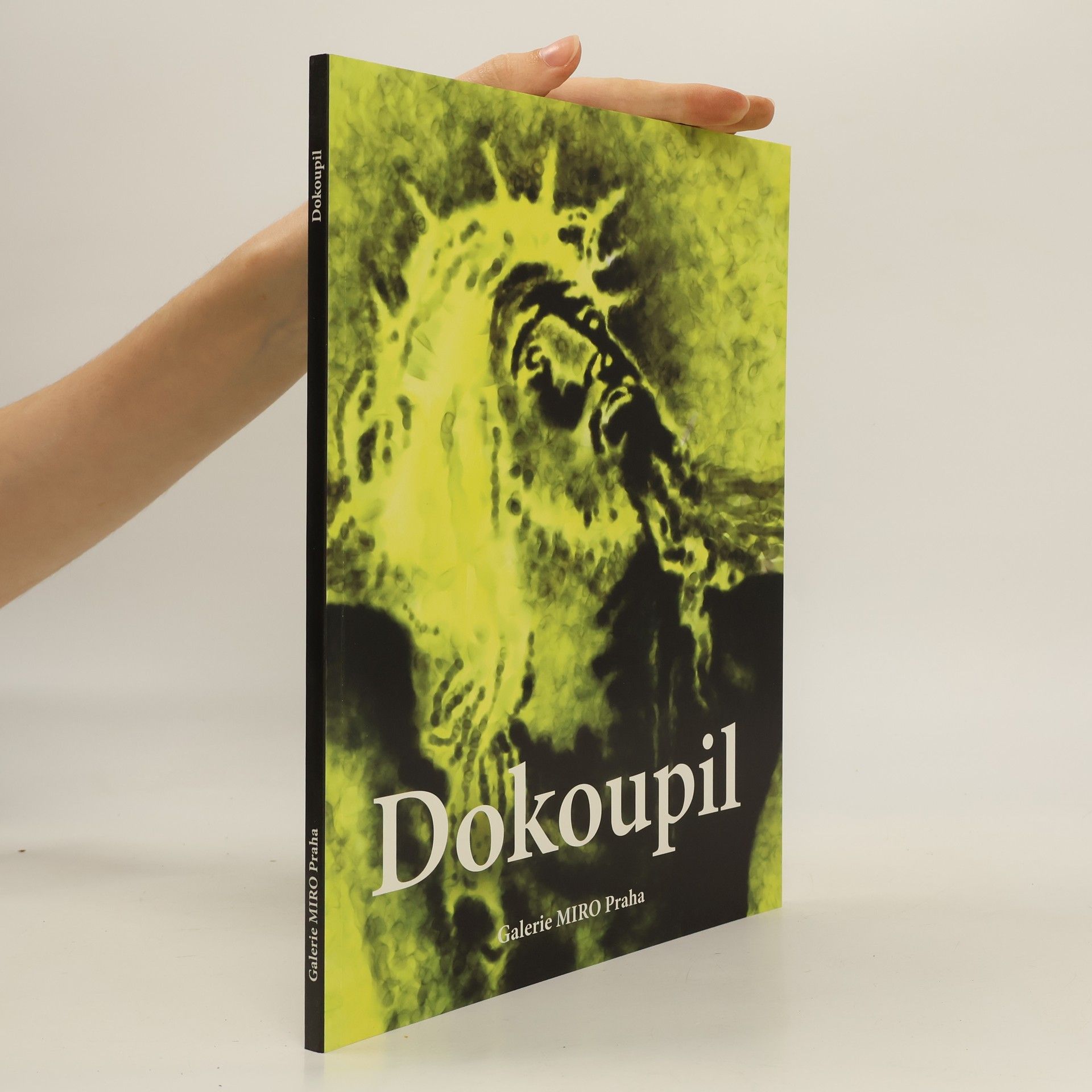 Jiří Georg Dokoupil Dokoupil - Nové religiózní obrazy