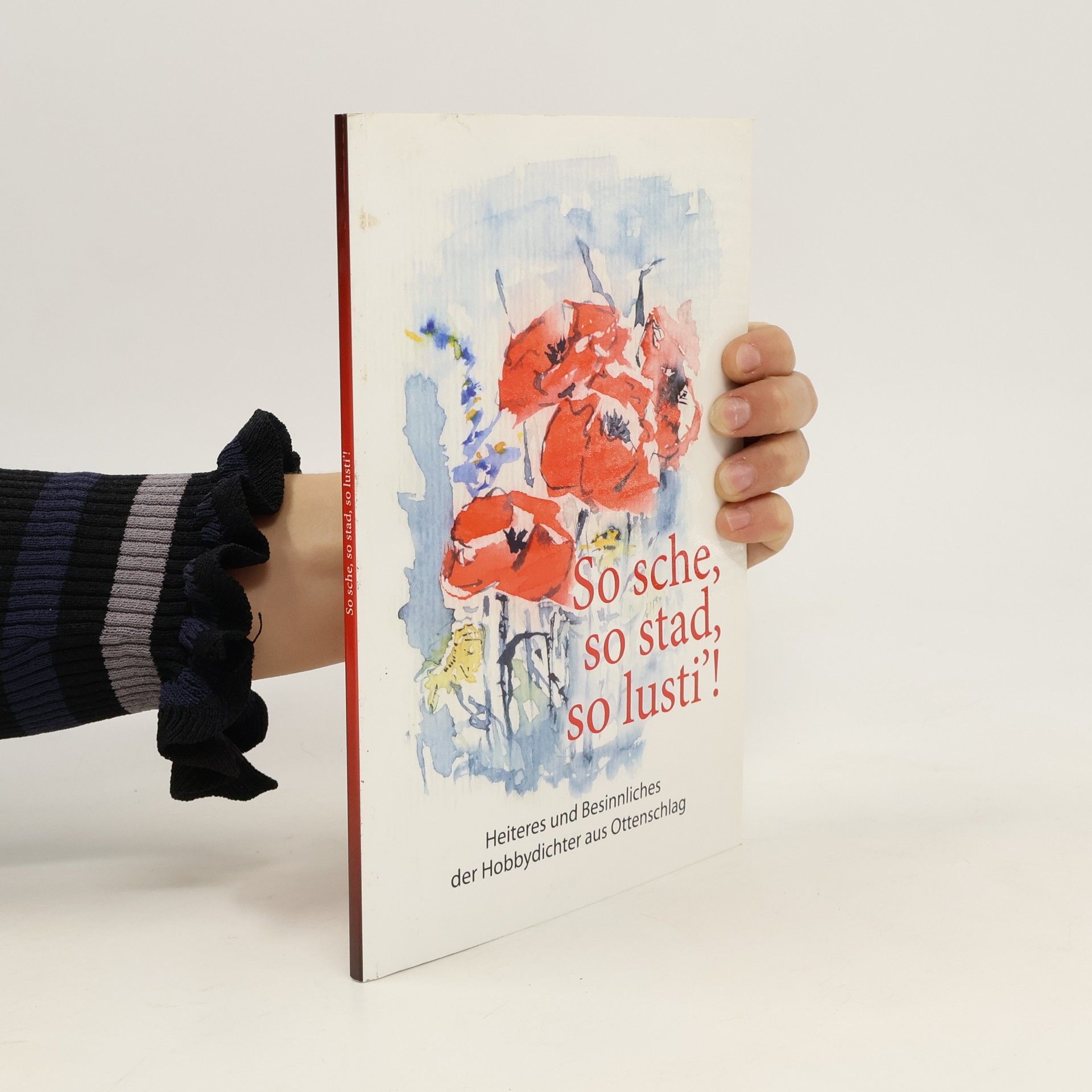 Autorenkollektiv So sche, so stad, so lusti´!