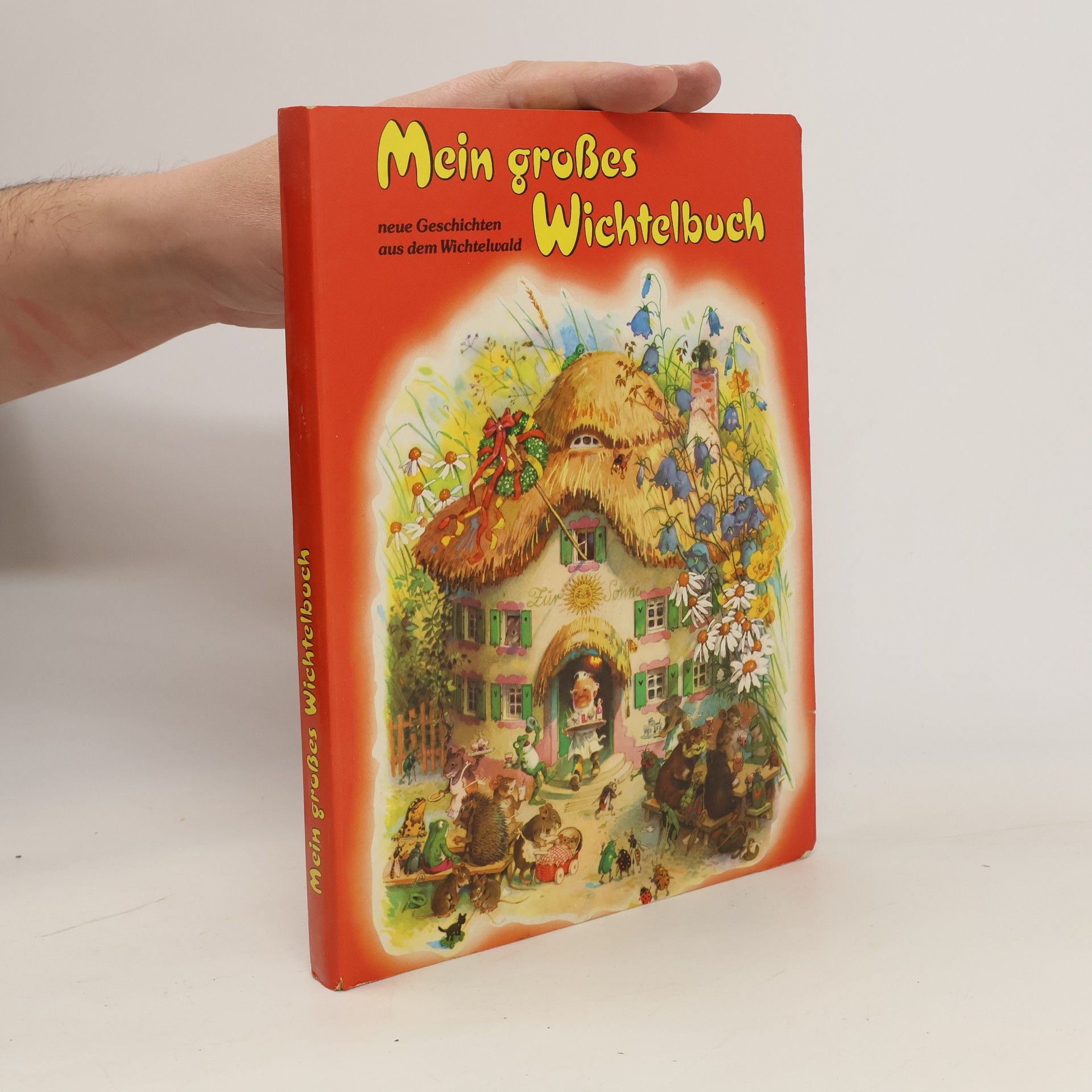 kolektiv Mein großes Wichtelbuch