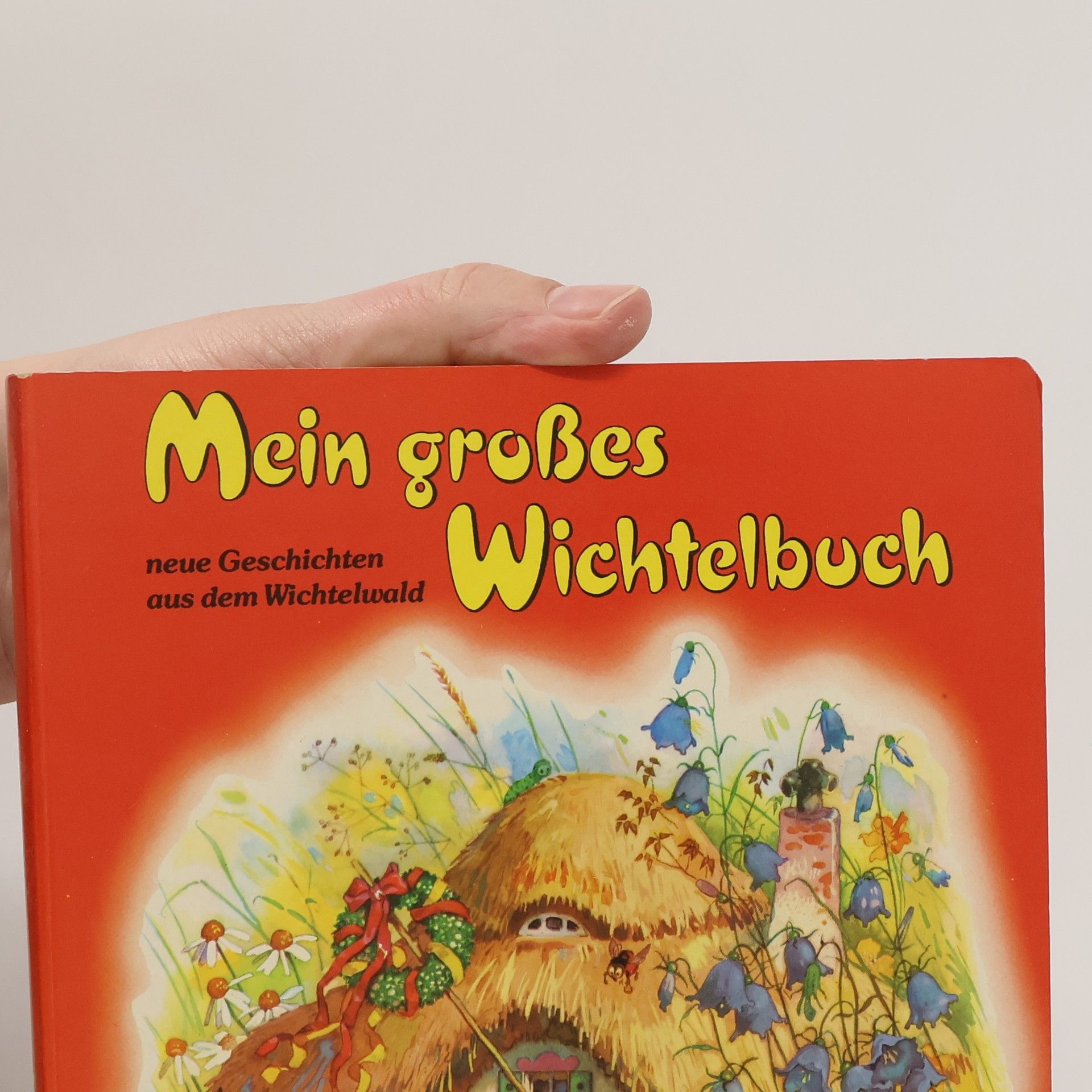 kolektiv Mein großes Wichtelbuch